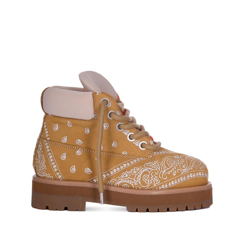 Shoe Pdf