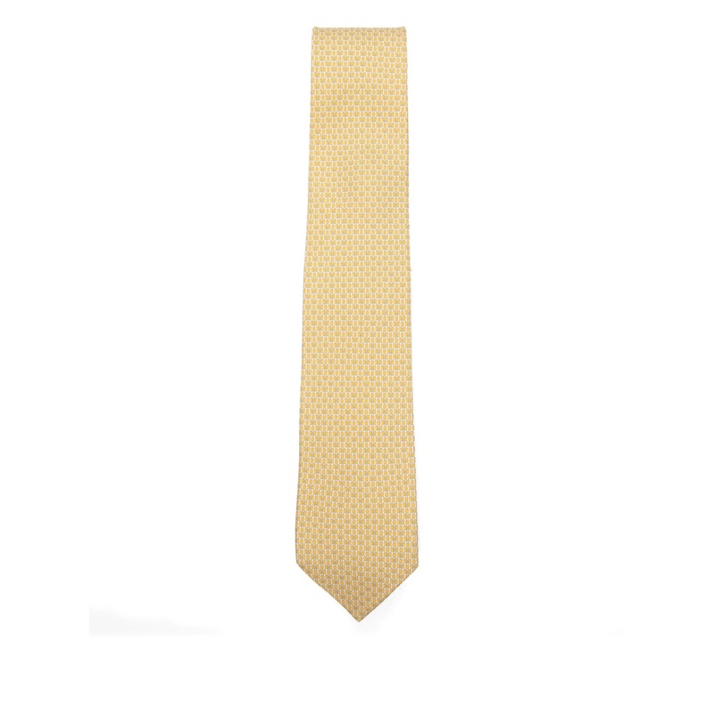 Tie Ferragamo