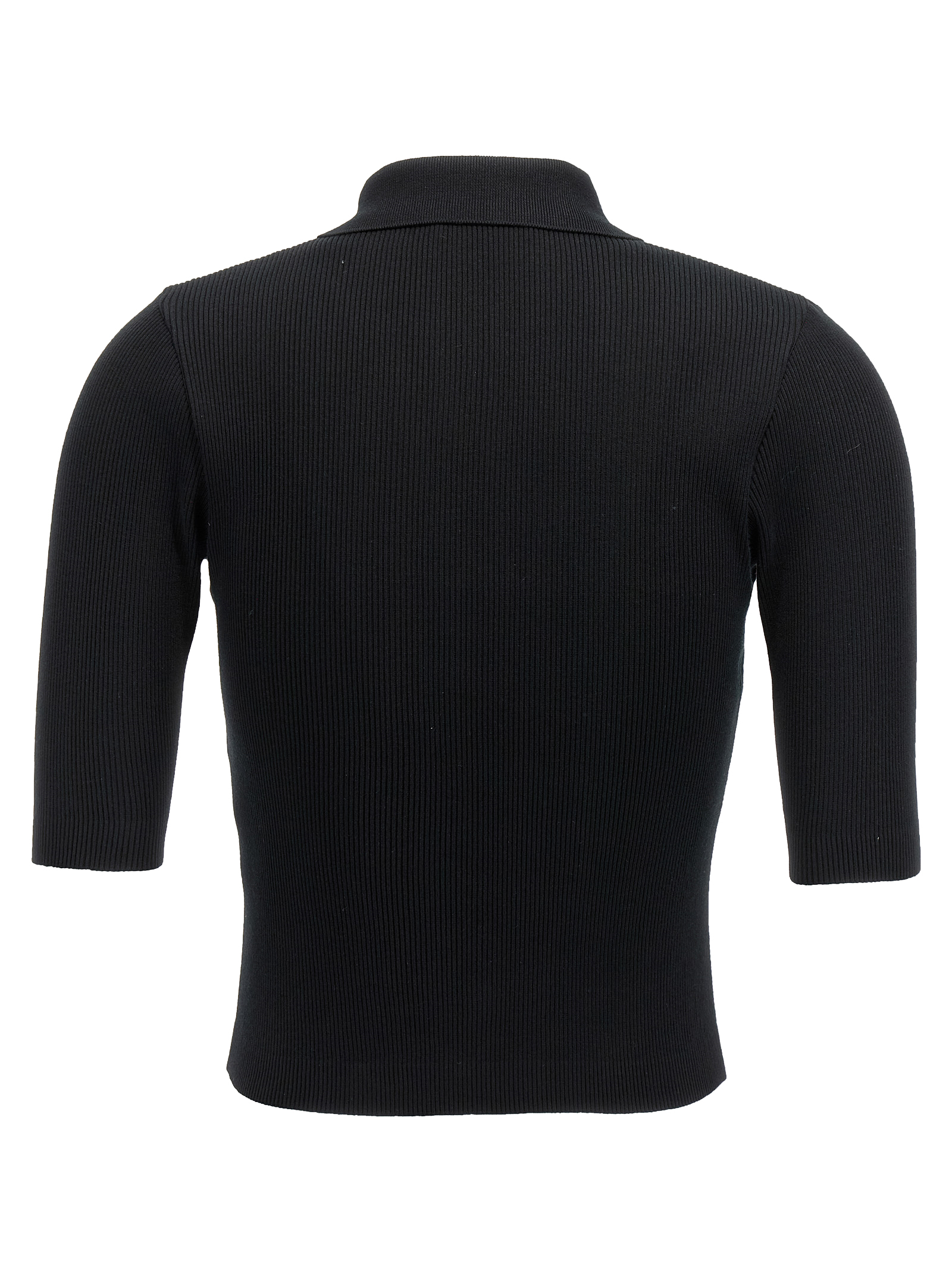 Ribbed polo shirt A00P01HRBLACK (AURALEE / ポロシャツ ) | AURALEE (オーラリー)(1)