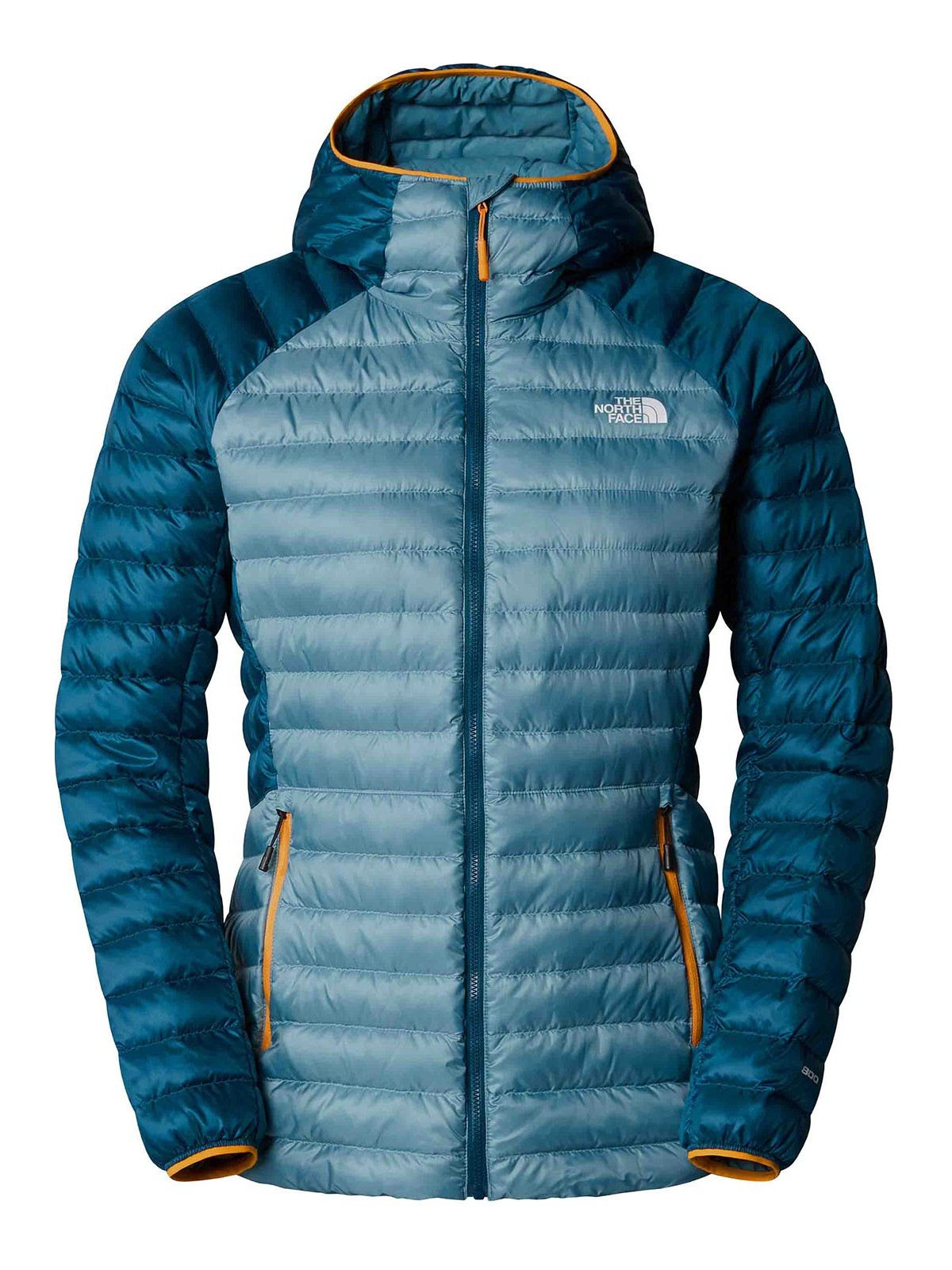 W Bettaforca Lt Down Hoodie NF0A87HH5FOALGAE (THE NORTH FACE / ダウンジャケット・コート ) | THE NORTH FACE (ザ・ノース・フェイス)