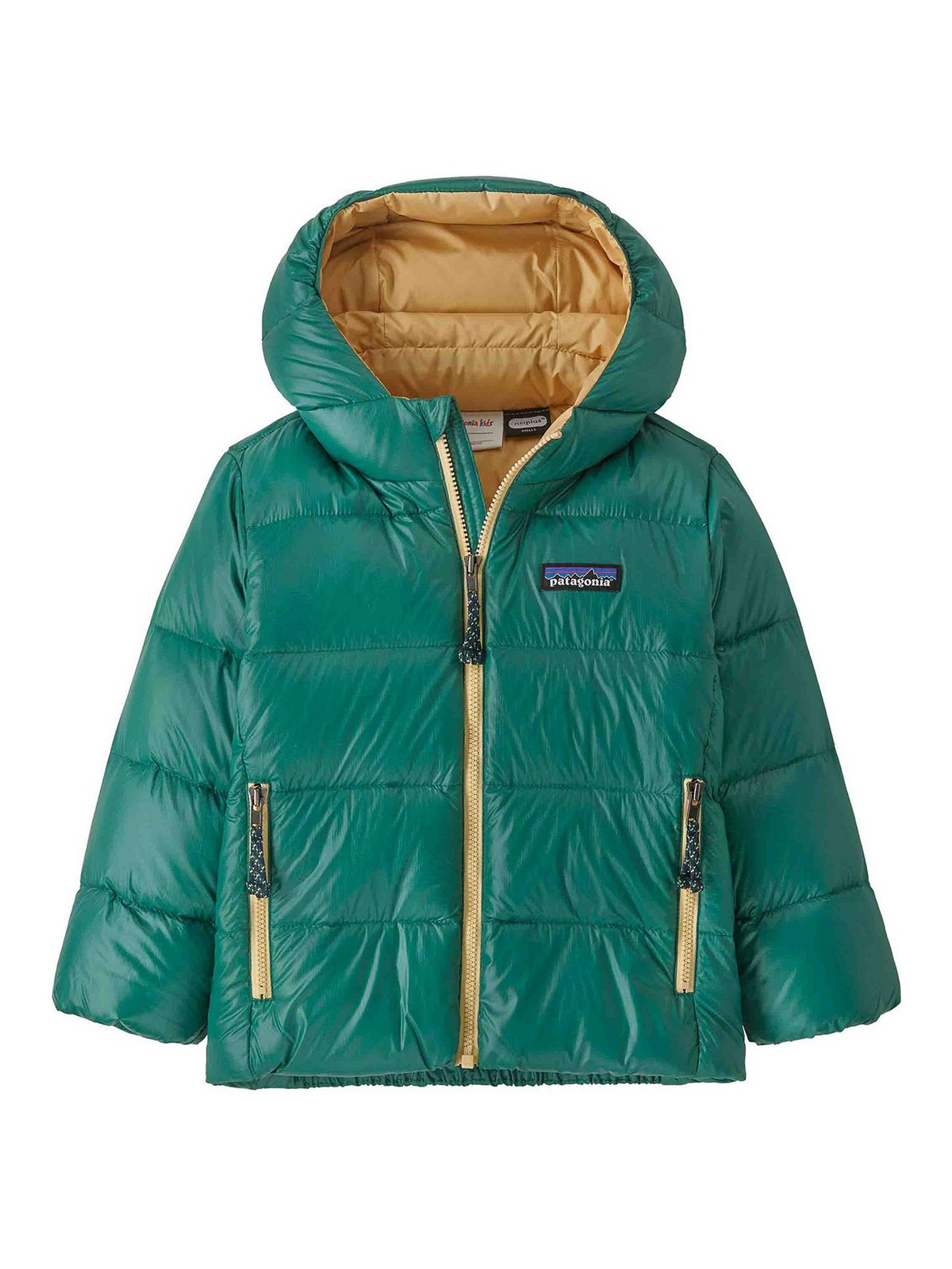 Baby Hi-Loft Down Sweater Hd 60494CIFG (patagonia / ダウンジャケット・コート ) | patagonia (パタゴニア)