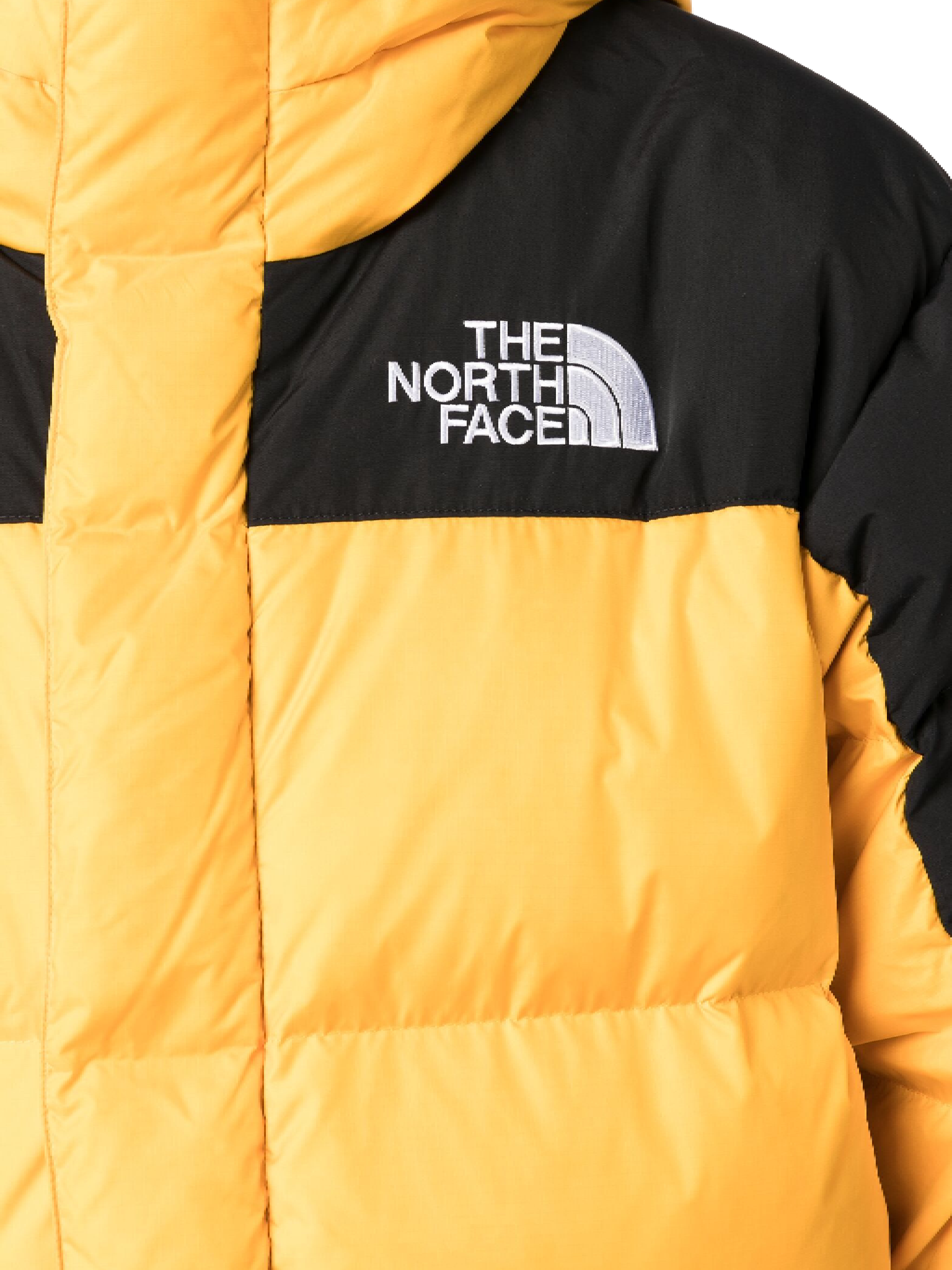 THE NORTH FACE Jackets NF0A4QYXZU31 (THE NORTH FACE / ダウンジャケット・コート ) | THE NORTH FACE (ザ・ノース・フェイス)(1)