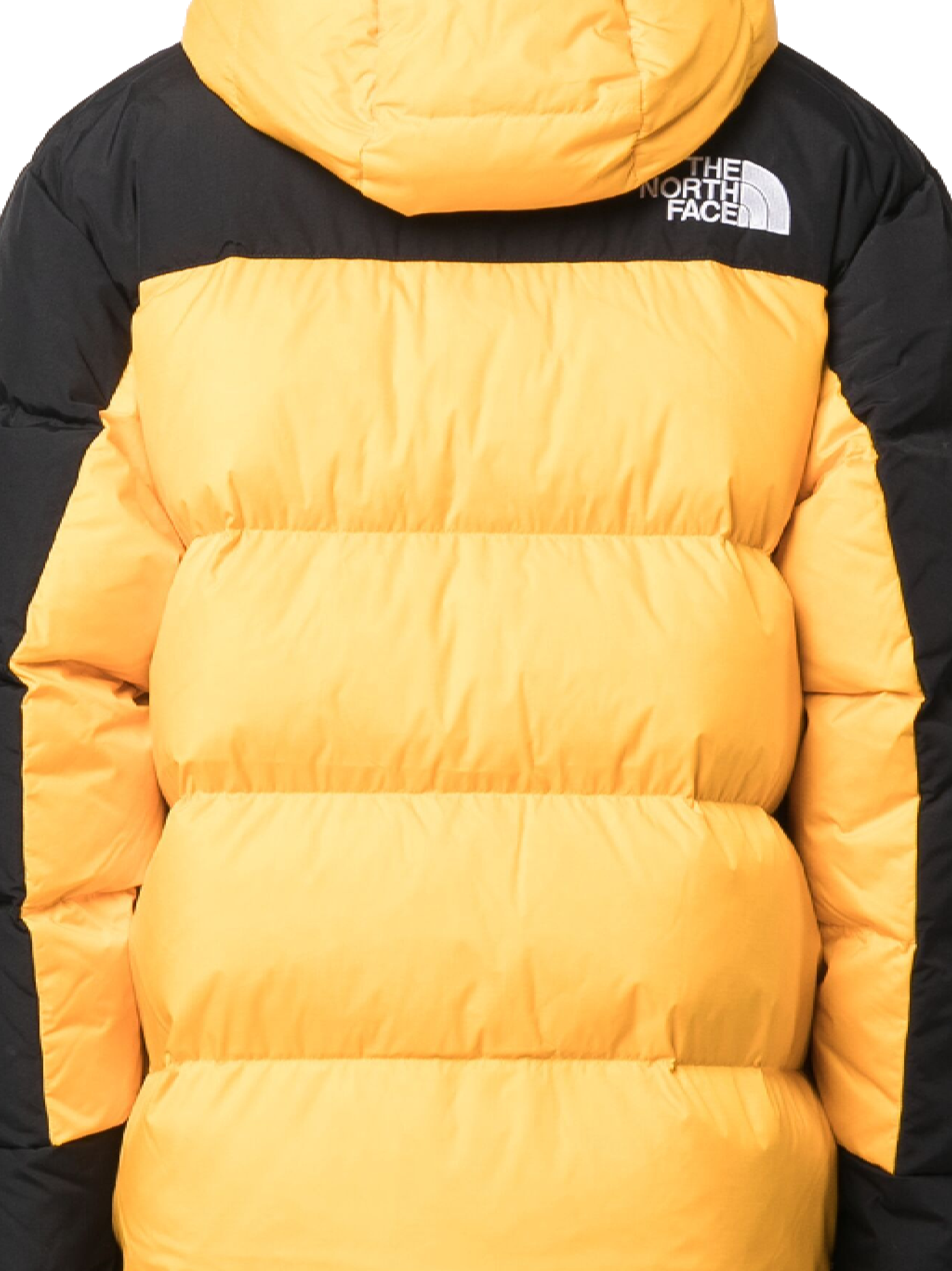 THE NORTH FACE Jackets NF0A4QYXZU31 (THE NORTH FACE / ダウンジャケット・コート ) | THE NORTH FACE (ザ・ノース・フェイス)(2)