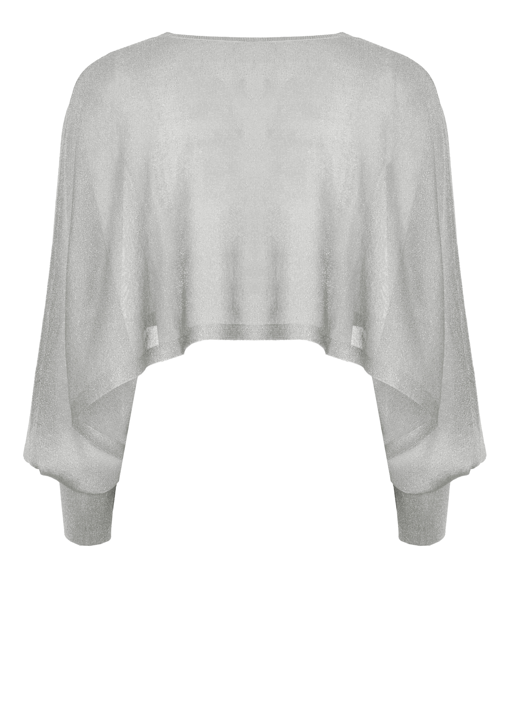 Kangra Shirts Silver S5A197090049 (Kangra / シャツ・ブラウス ) | Kangra (カングラ)(1)