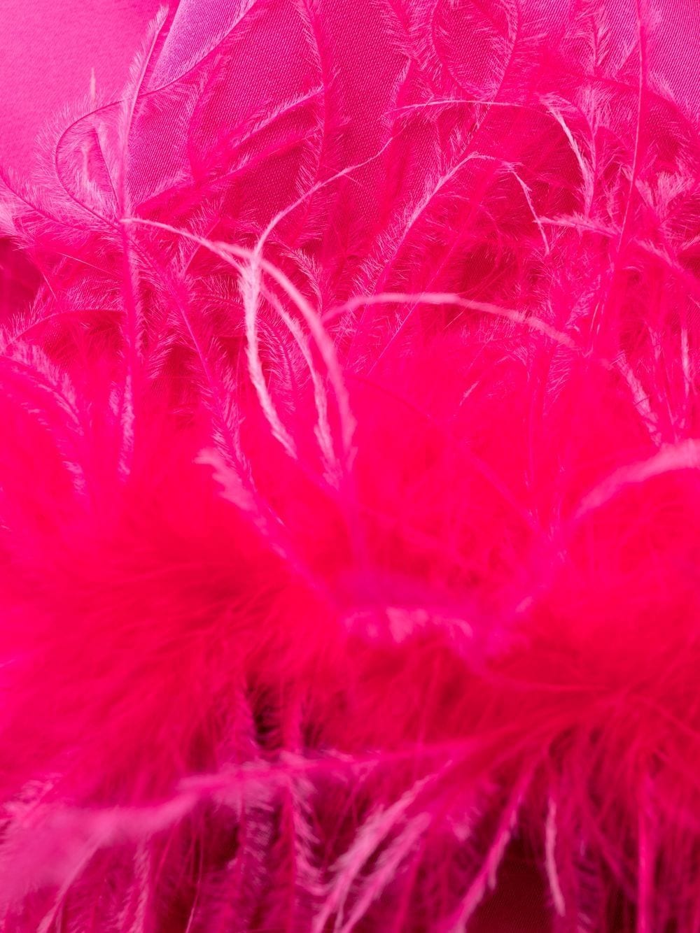 Parosh Dresses Fuchsia D725146PPARTY23042 (P.A.R.O.S.H. / ワンピース・ドレス・オールインワン ) | P.A.R.O.S.H. (パロッシュ)(5)