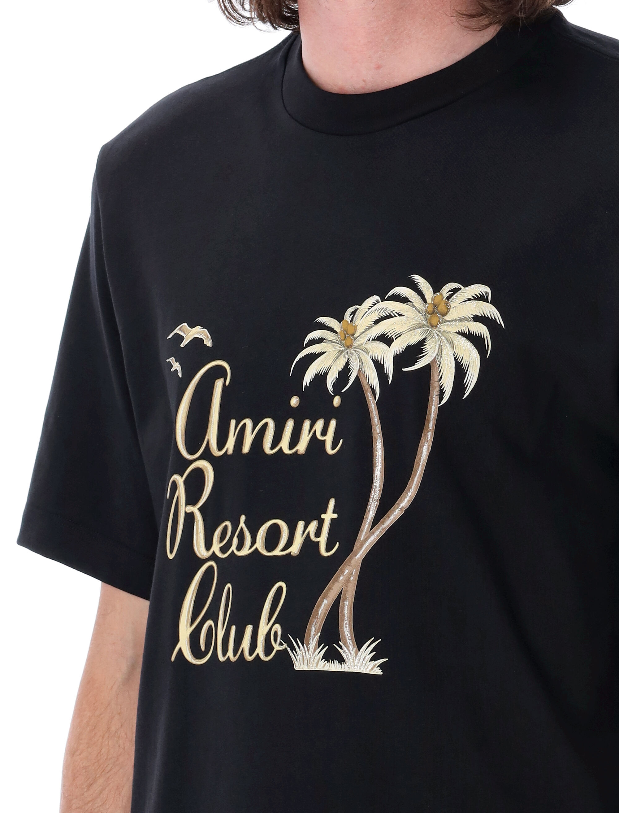 Amiri T-shirts and Polos Black AMJYTE1055BLACK (AMIRI / Tシャツ・カットソー ) | AMIRI (アミリ)(2)