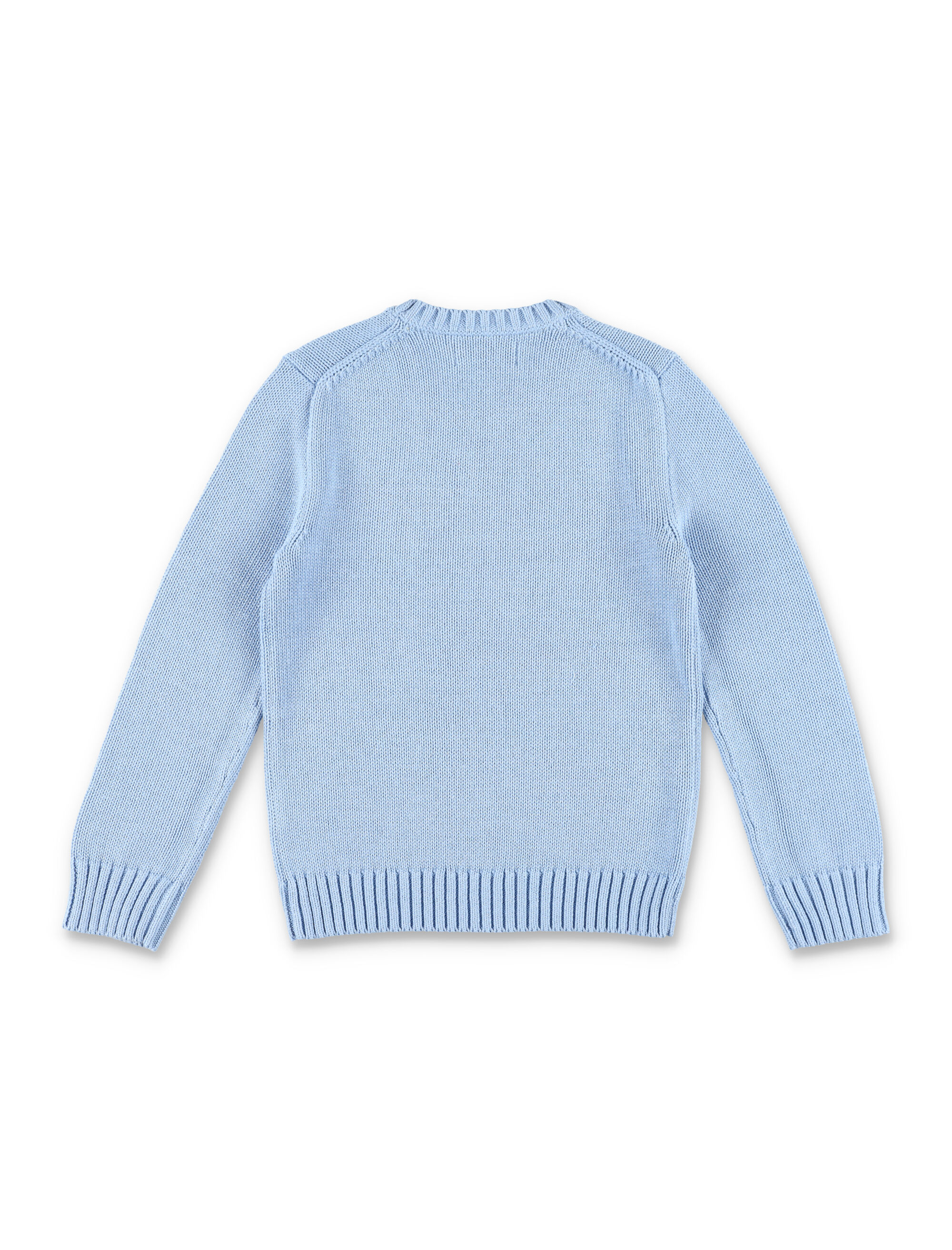Polo Ralph Lauren Sweaters Blue 970429002 (Polo Ralph Lauren / ニット・セーター・カーディガン ) | Polo Ralph Lauren (ポロ ラルフ ローレン)(1)