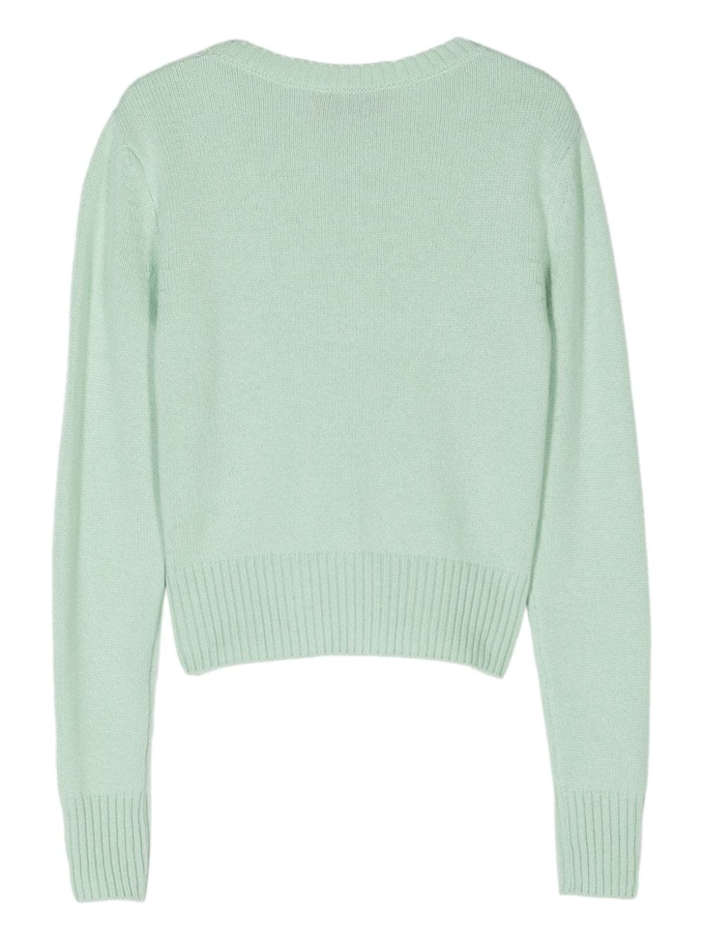 WILD CASHMERE Sweaters Green SIMONA830 (WILD CASHMERE / ニット・セーター・カーディガン ) | WILD CASHMERE (ワイルドカシミア)(1)