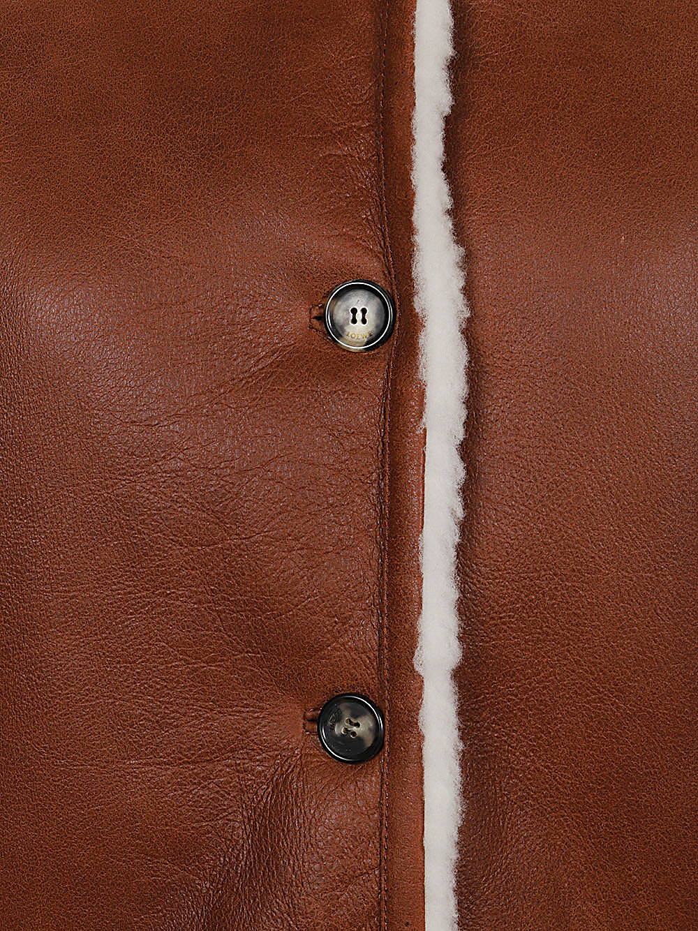 Loewe Coats Leather Brown S359Y2SL082103 (LOEWE / コート・ダウン ) | LOEWE (ロエベ)(2)