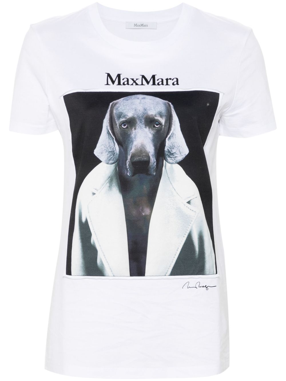 Max Mara T-shirts and Polos White 21946071600013 (Max Mara / Tシャツ・カットソー ) | Max Mara (マックスマーラ)