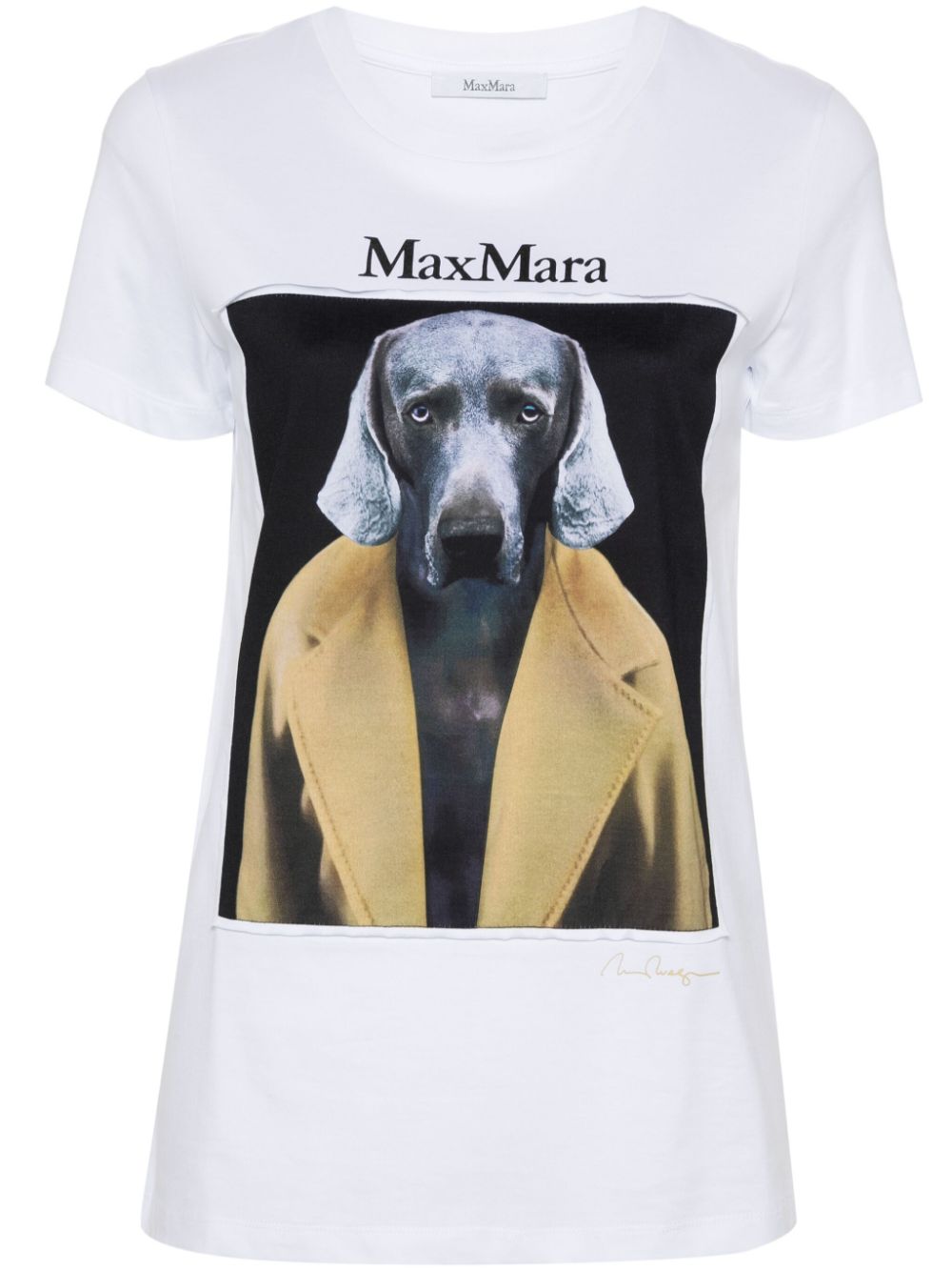 Max Mara T-shirts and Polos Brown 21946071600014 (Max Mara / Tシャツ・カットソー ) | Max Mara (マックスマーラ)