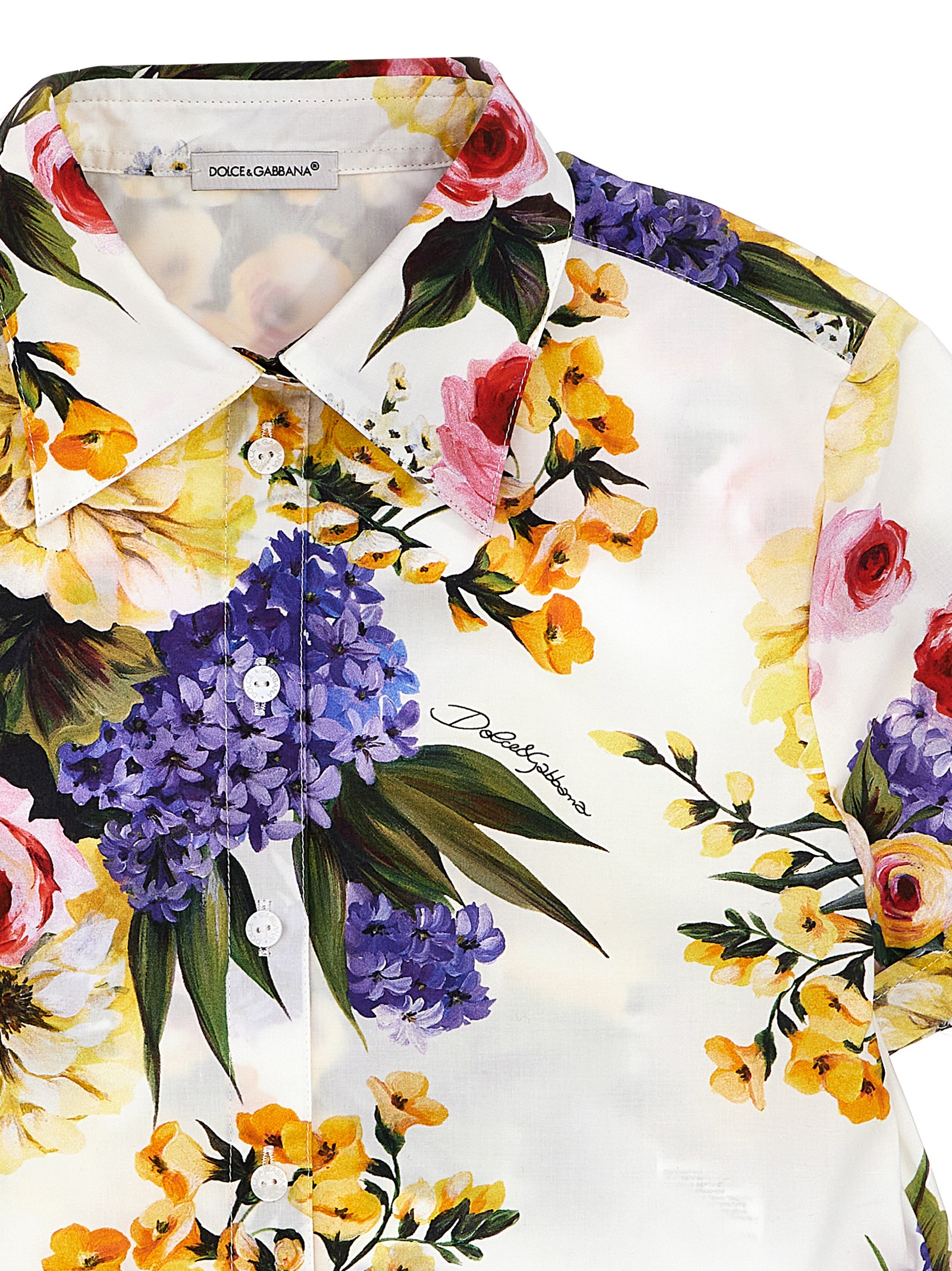 'Giardino' shirt L56S10HS5Q5HA4YB (Dolce & Gabbana / シャツ・ブラウス ) | Dolce & Gabbana (ドルチェガッバーナ)(2)
