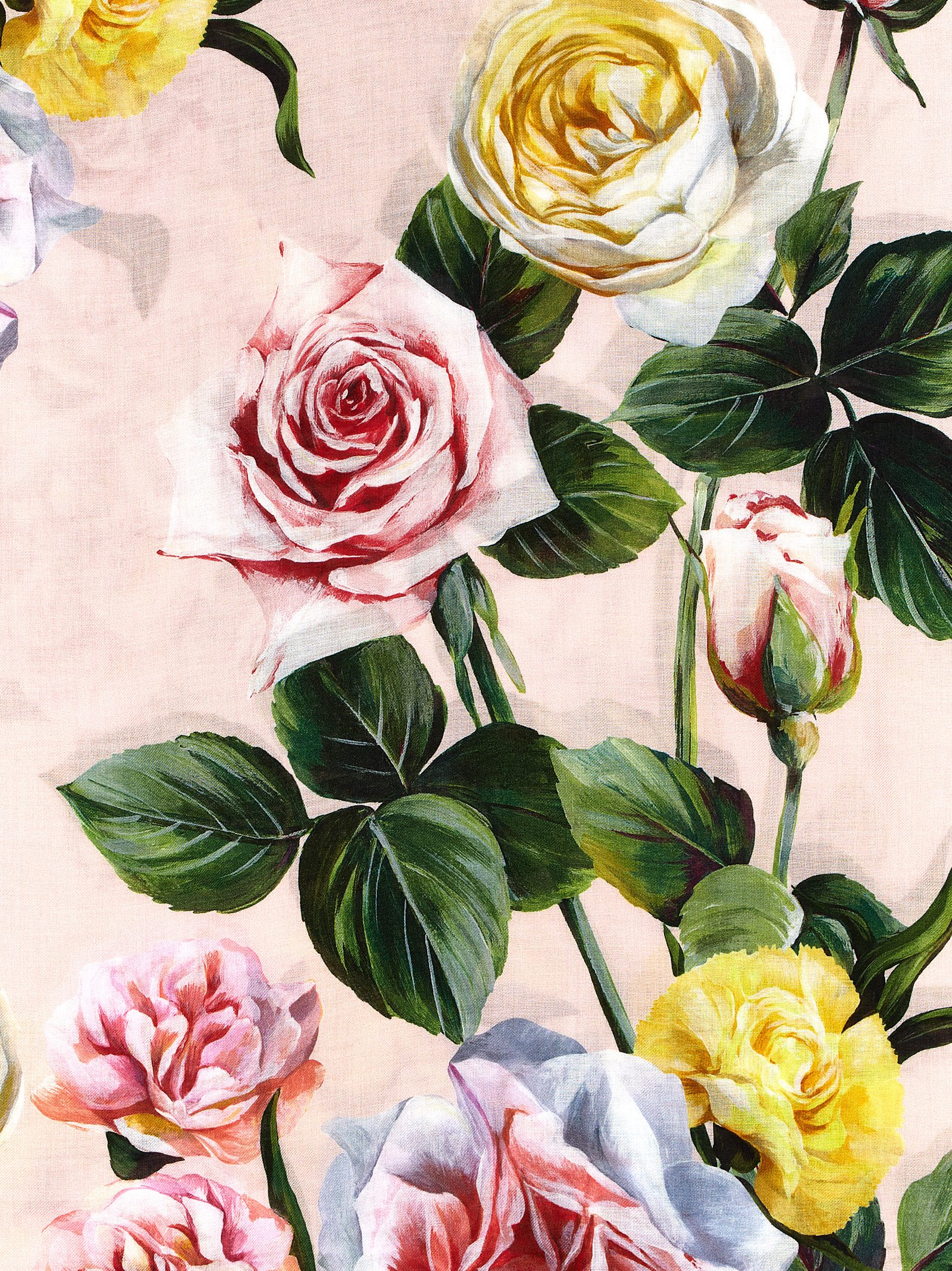 Floral scarf FS184AGDCUPHF5IY (Dolce & Gabbana / スカーフ・マフラー ) | Dolce & Gabbana (ドルチェガッバーナ)(2)