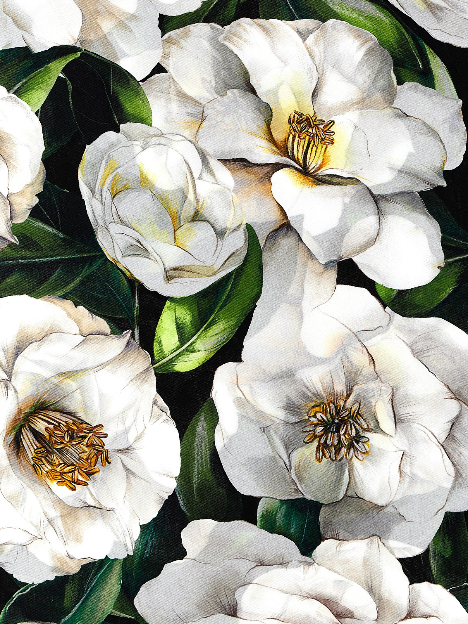 Silk scarf FN090RGDCUGHD5JB (Dolce & Gabbana / スカーフ・マフラー ) | Dolce & Gabbana (ドルチェガッバーナ)(2)