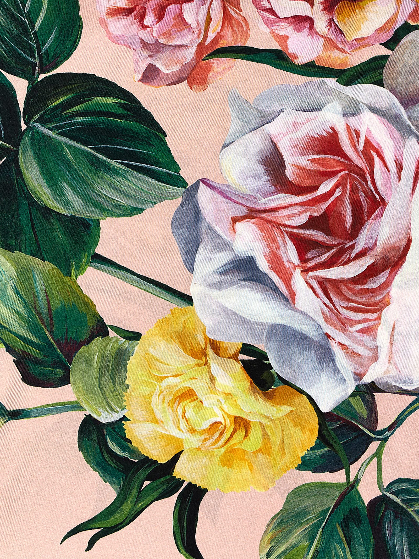 Silk scarf FN090RGDCUIHF5IY (Dolce & Gabbana / スカーフ・マフラー ) | Dolce & Gabbana (ドルチェガッバーナ)(2)