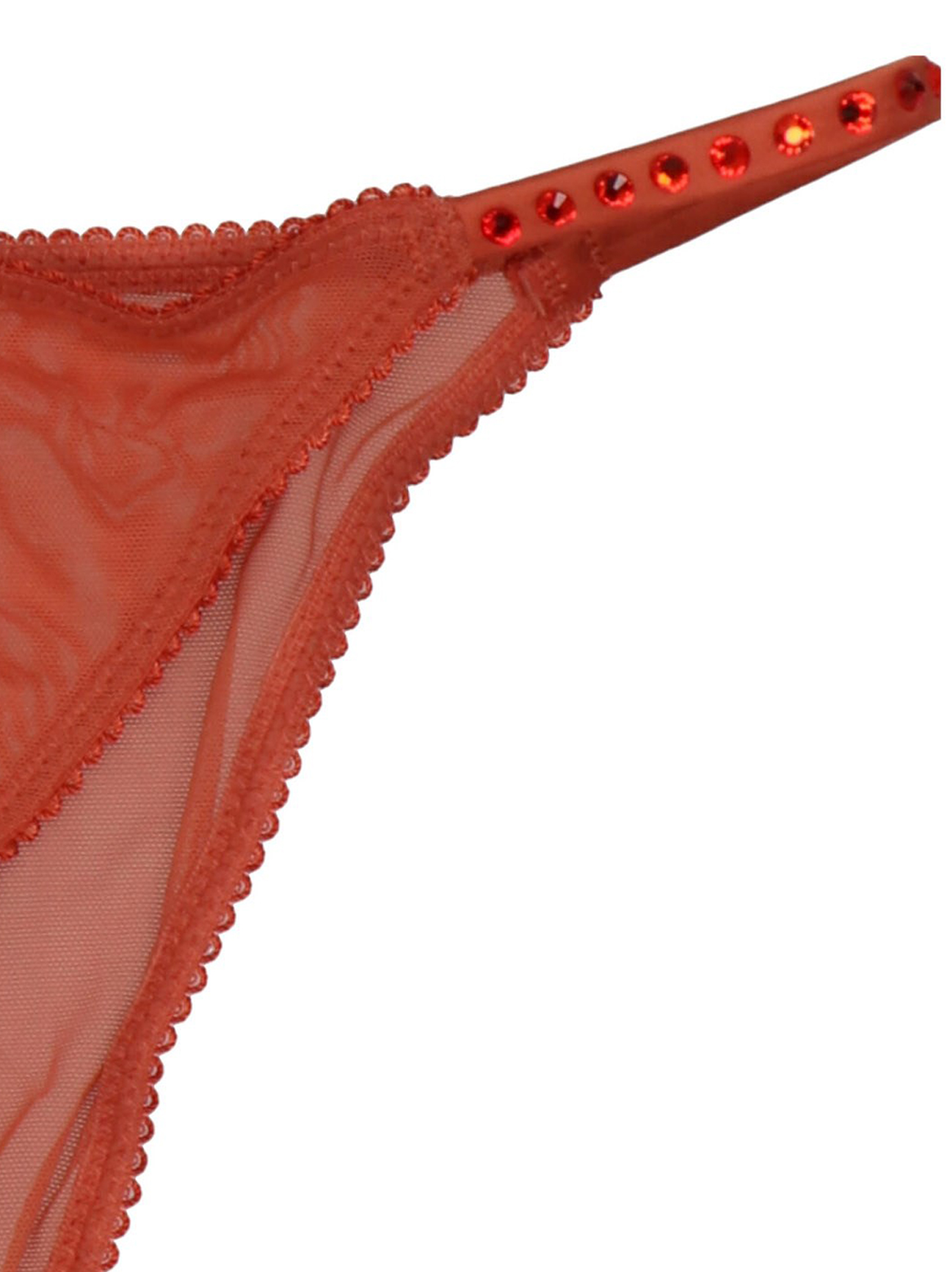 'Clio’ briefs L22112795390REDCLAY (LOVE Stories / アンダーウェア ) | LOVE Stories (ラブストーリーズ)(2)