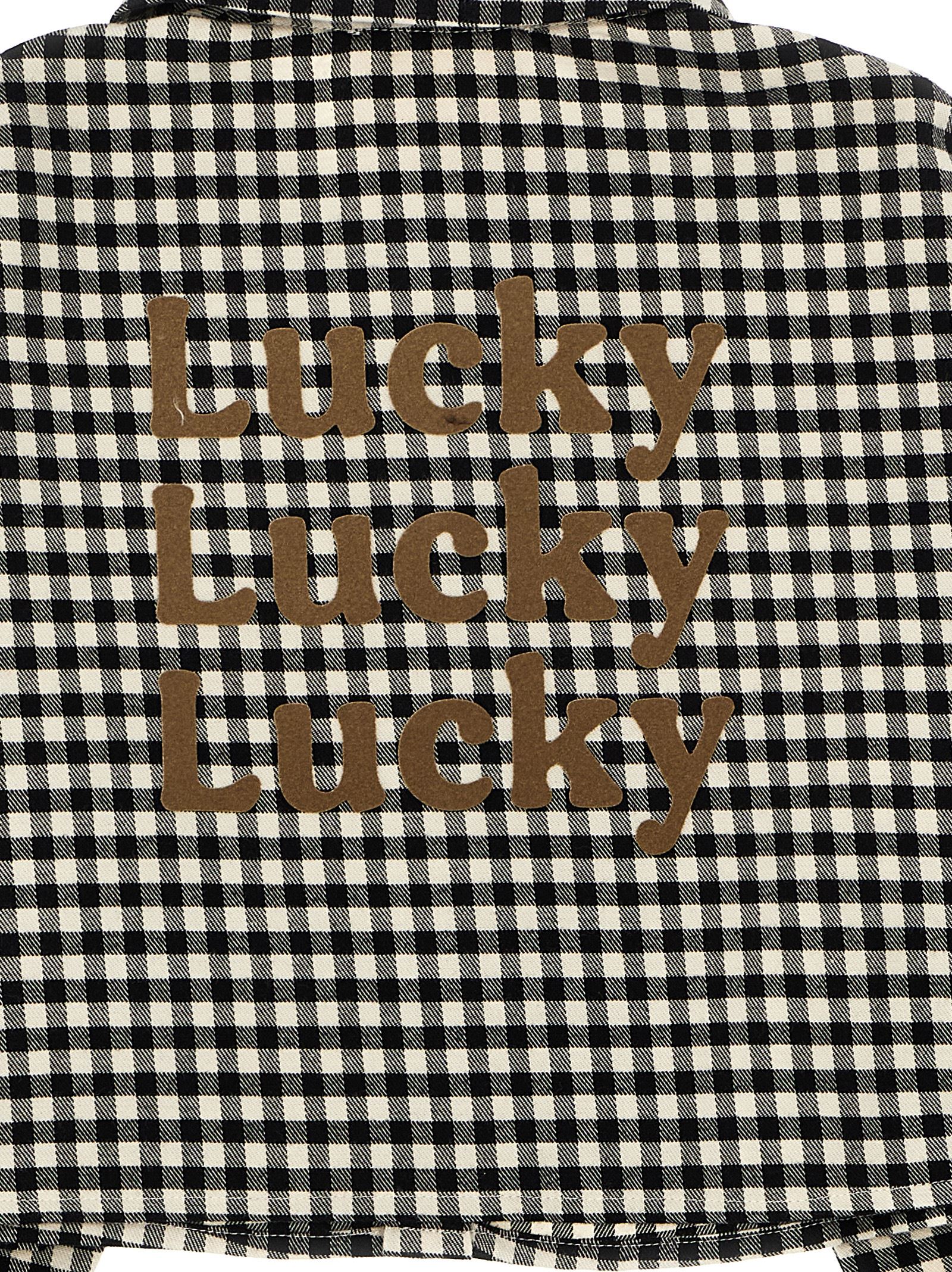 Flannel crop shirt DT5A30P0316105NE (DOUUOD / シャツ・ブラウス ) | DOUUOD (ドゥドゥ)(2)