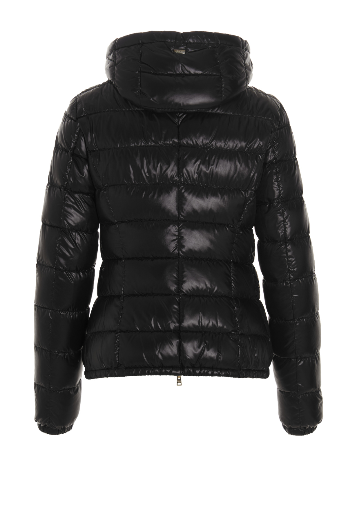 Hooded puffer jacket PI0833DIC120179300 (Herno / コート・ダウン ) | Herno (ヘルノ)(1)