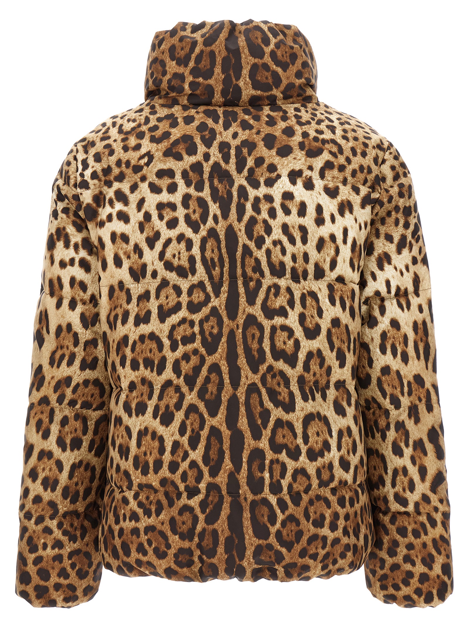 Animalier down jacket F9R11THSMW8HY13M (Dolce & Gabbana / コート・ダウン ) | Dolce & Gabbana (ドルチェガッバーナ)(1)