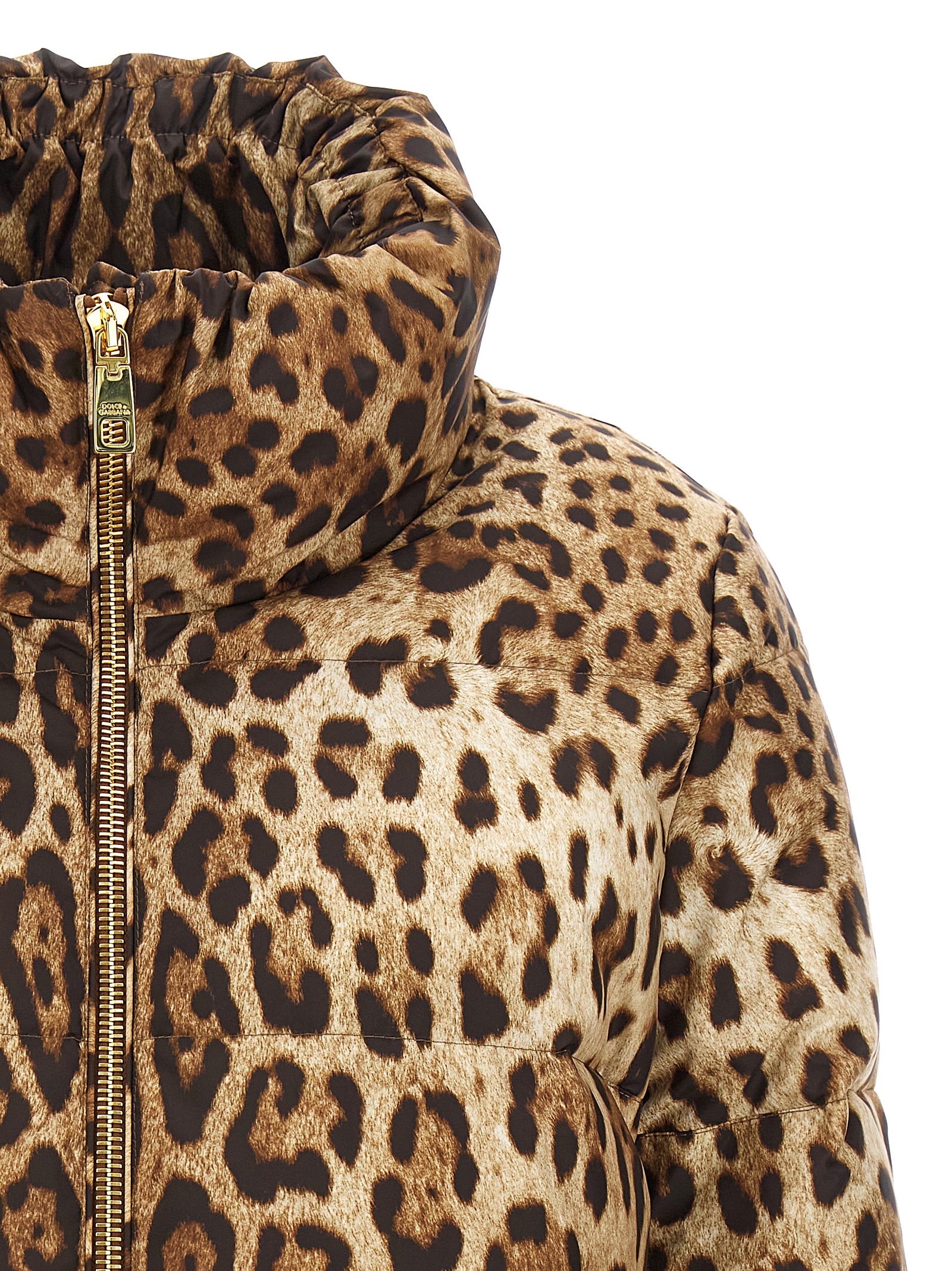 Animalier down jacket F9R11THSMW8HY13M (Dolce & Gabbana / コート・ダウン ) | Dolce & Gabbana (ドルチェガッバーナ)(2)