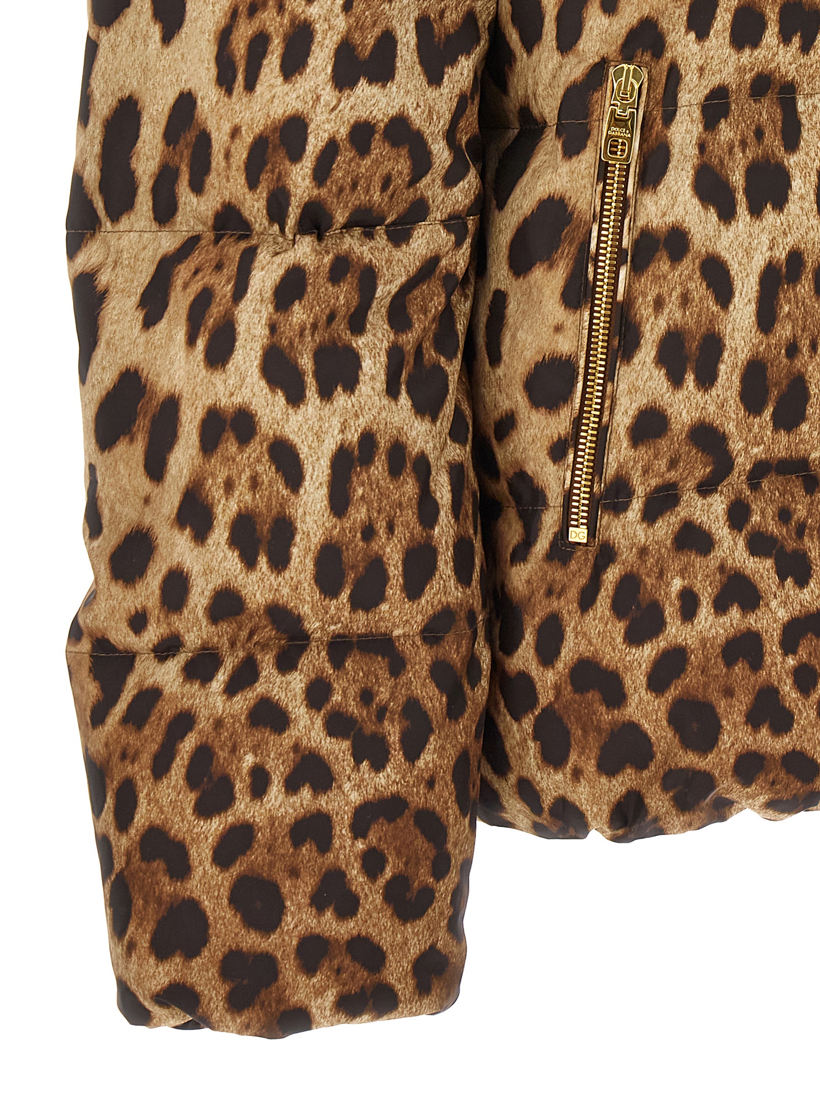 Animalier down jacket F9R11THSMW8HY13M (Dolce & Gabbana / コート・ダウン ) | Dolce & Gabbana (ドルチェガッバーナ)(3)