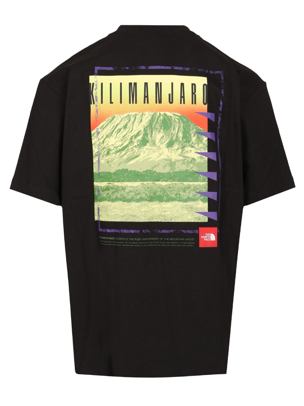 Oversized T-shirt NF0A8C1RJK3 (THE NORTH FACE / Tシャツ・カットソー ) | THE NORTH FACE (ザ・ノース・フェイス)(1)