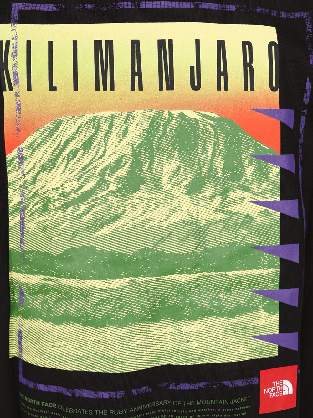 Oversized T-shirt NF0A8C1RJK3 (THE NORTH FACE / Tシャツ・カットソー ) | THE NORTH FACE (ザ・ノース・フェイス)(3)