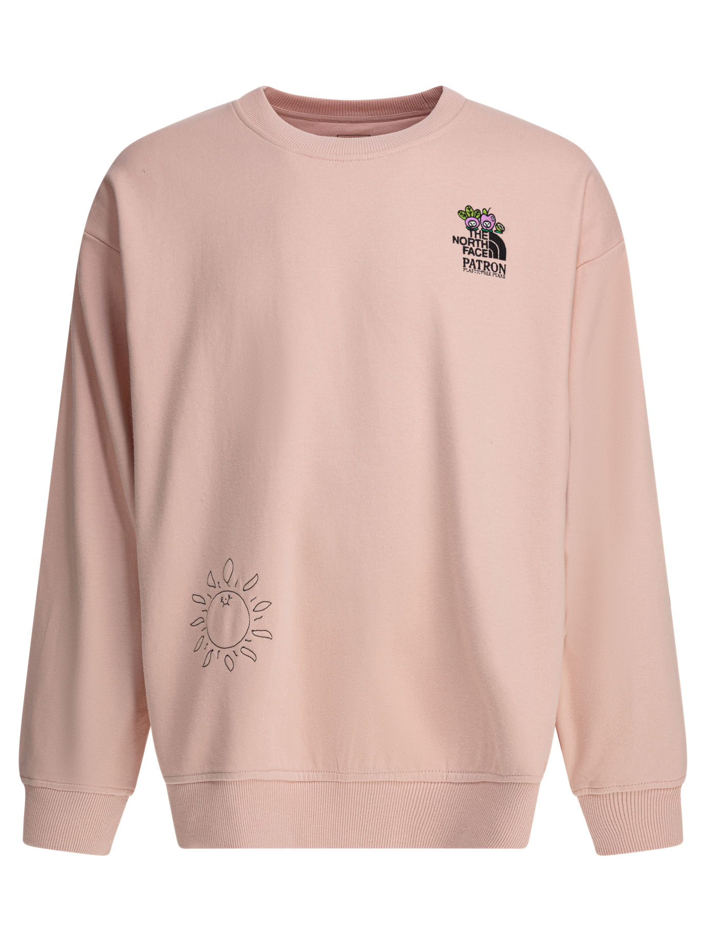 Sweatshirts NF0A8C2ULK61 (THE NORTH FACE / スウェット・フーディー ) | THE NORTH FACE (ザ・ノース・フェイス)