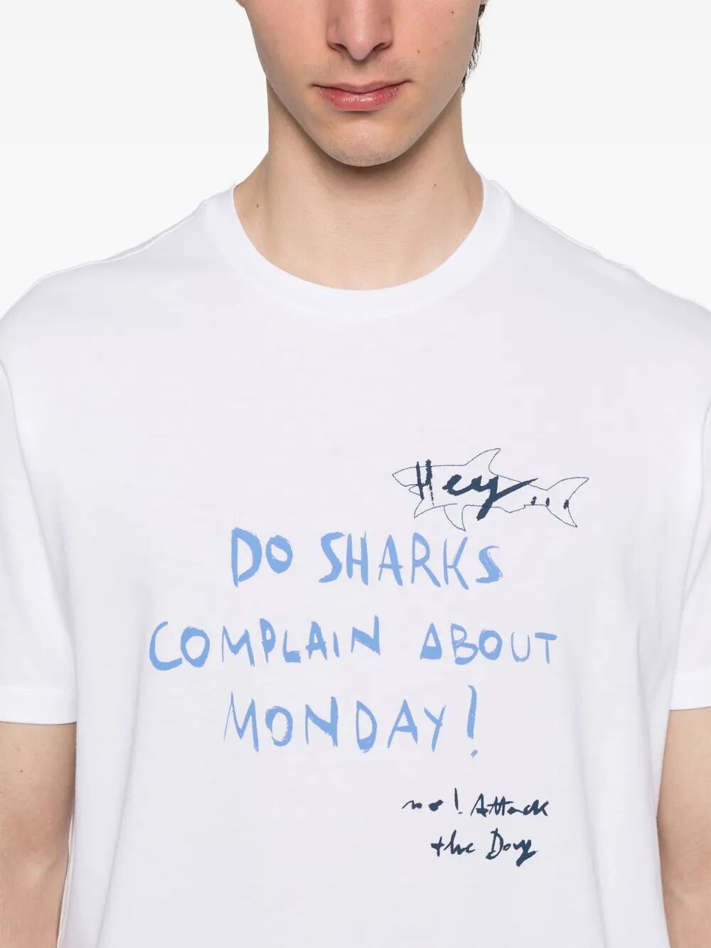 DIGITAL PRINT COTTON JERSEY T-SHIRT 25411065010 (PAUL & SHARK / Tシャツ・カットソー ) | PAUL & SHARK (ポールアンドシャーク)(3)