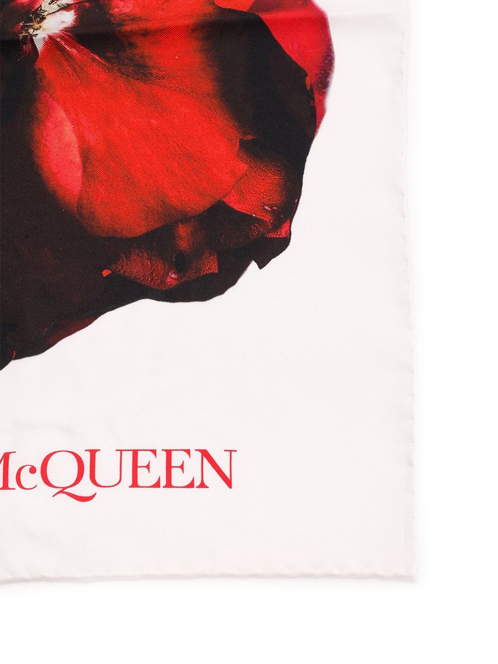 Printed silk scarf 7902793001Q9274 (Alexander McQUEEN / スカーフ・マフラー ) | Alexander McQUEEN (アレキサンダー・マックイーン)(1)