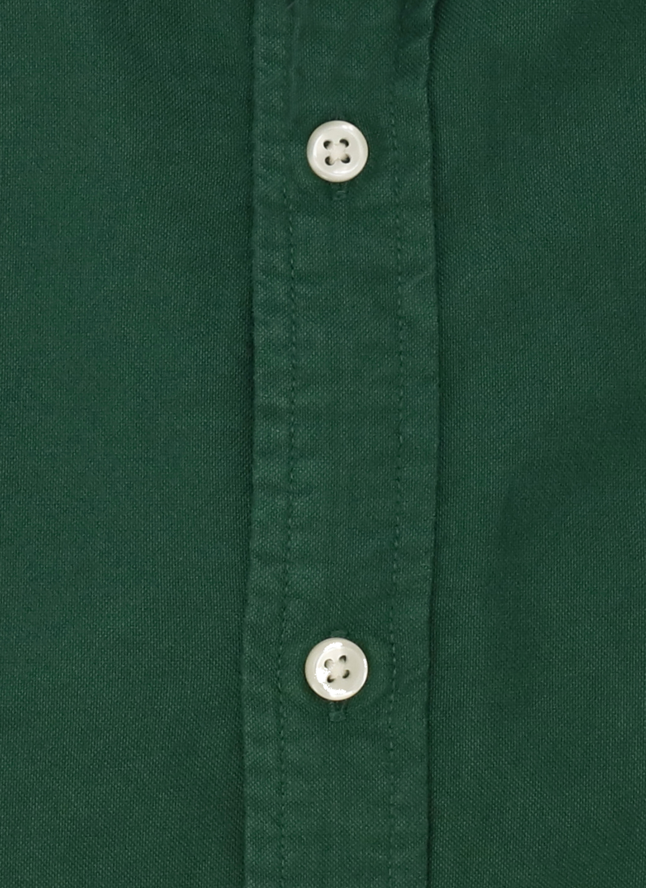 Ralph Lauren Shirts Green 710804257063 (RALPH LAUREN / シャツ・ブラウス ) | RALPH LAUREN (ラルフ ローレン)(2)