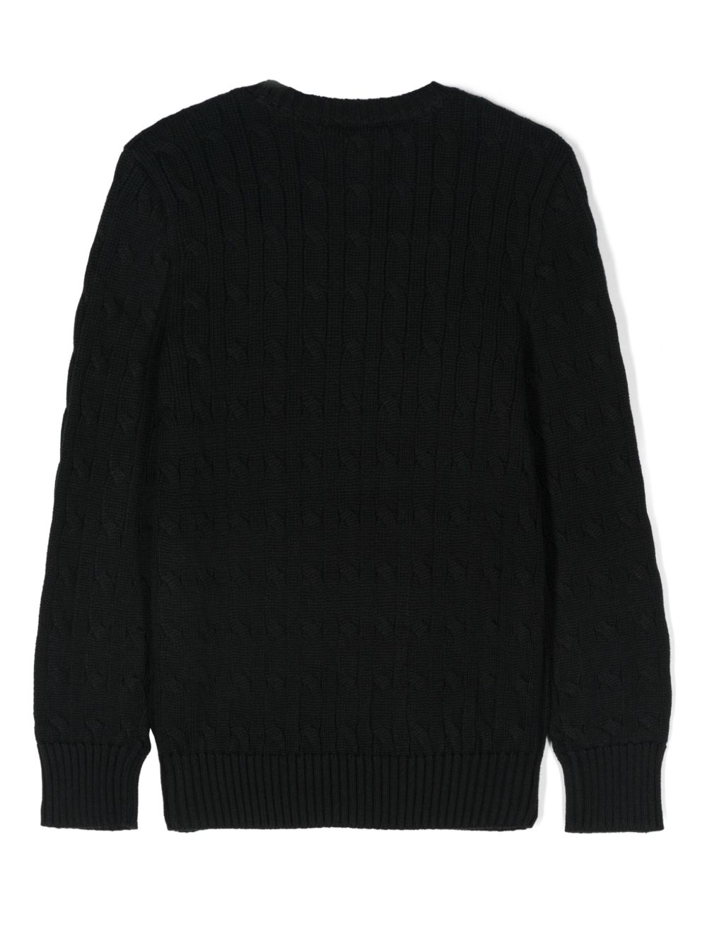 Ralph Lauren Sweaters 323702674061BLACK (RALPH LAUREN / ニット・セーター・カーディガン ) | RALPH LAUREN (ラルフ ローレン)(1)