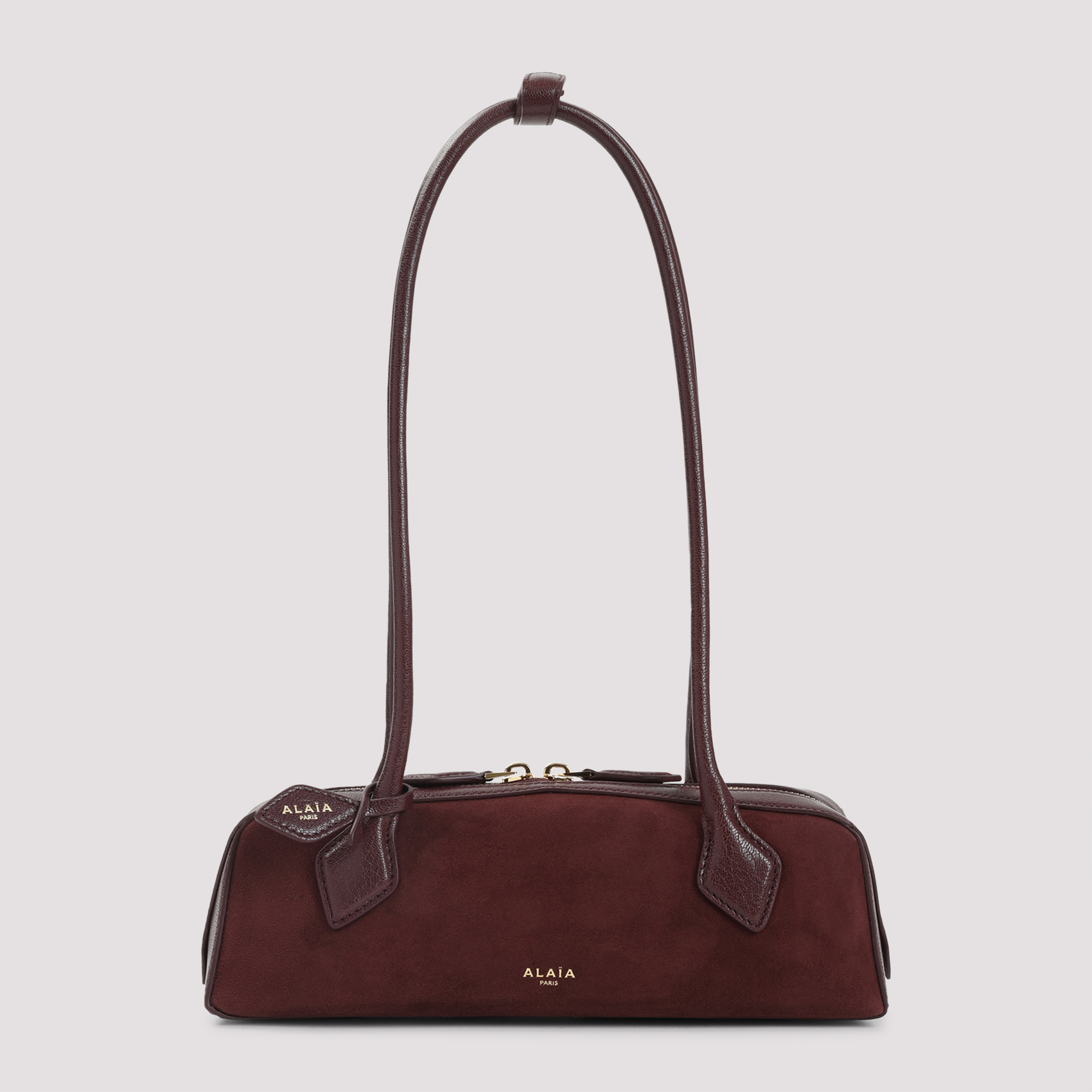 Small "Le Teckel" bag AA1S06029CA577325 (ALAIA / ハンドバッグ・ショルダーバッグ ) | ALAIA (アライア)(1)