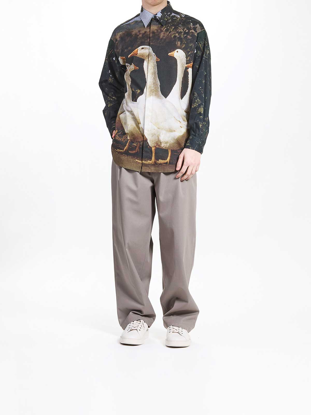 Luisa goose shirt 20602541081 (MOSCHINO / シャツ・ブラウス ) | MOSCHINO (モスキーノ)(1)