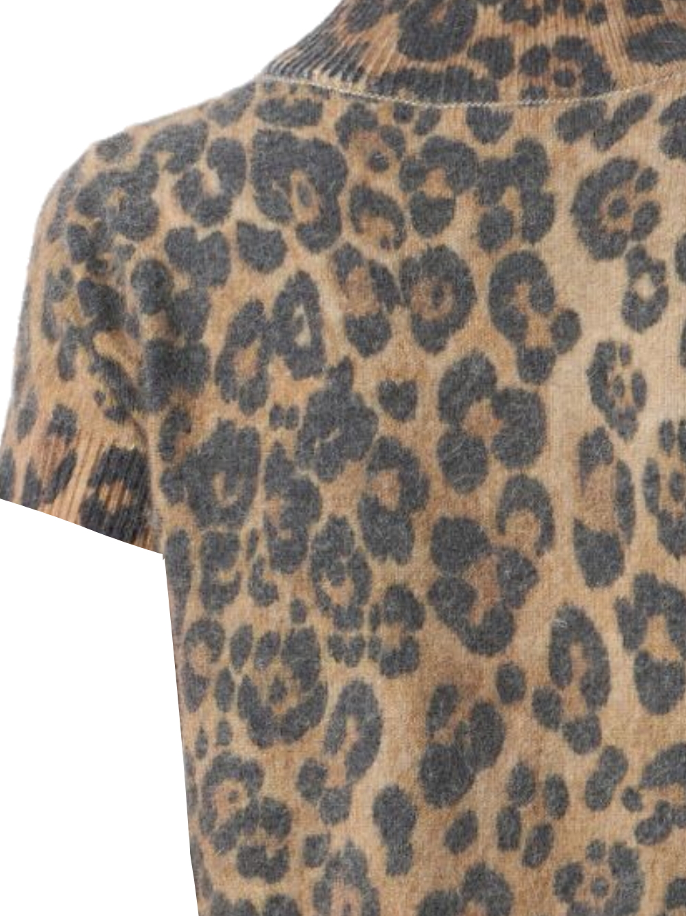 Blumarine Sweaters A522M627AM5539 (Blumarine / ニット・セーター・カーディガン ) | Blumarine (ブルマリン)(2)