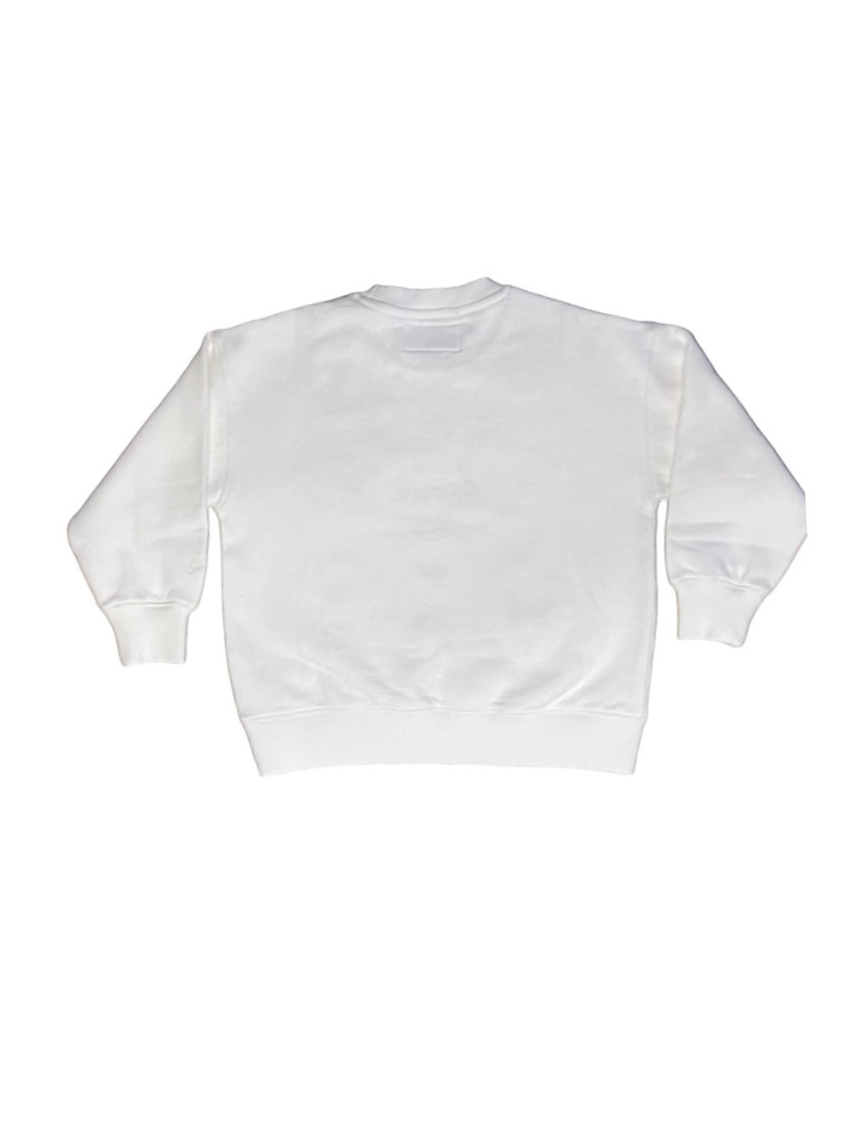 Pull Roundneck Sweatshirt BRN000209684E (MC2 SAINT BARTH / スウェット・フーディー ) | MC2 SAINT BARTH (エムシーツーセイントバース)(1)