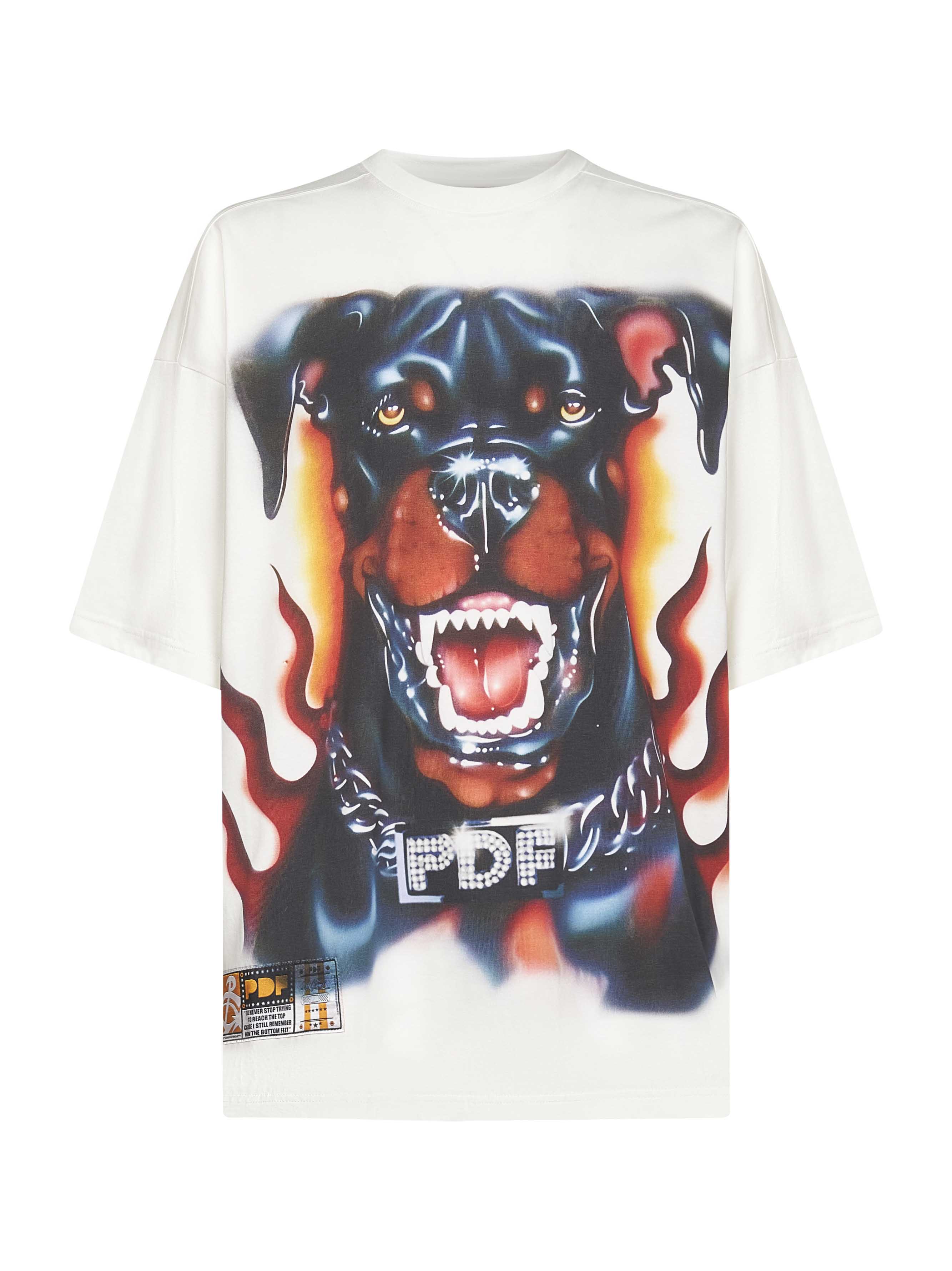 PDF T-shirts and Polos DFM54029TJ110WHDG (PDF / Tシャツ・カットソー ) | PDF (プロジェクト ドメニコ フォルミケッティ)