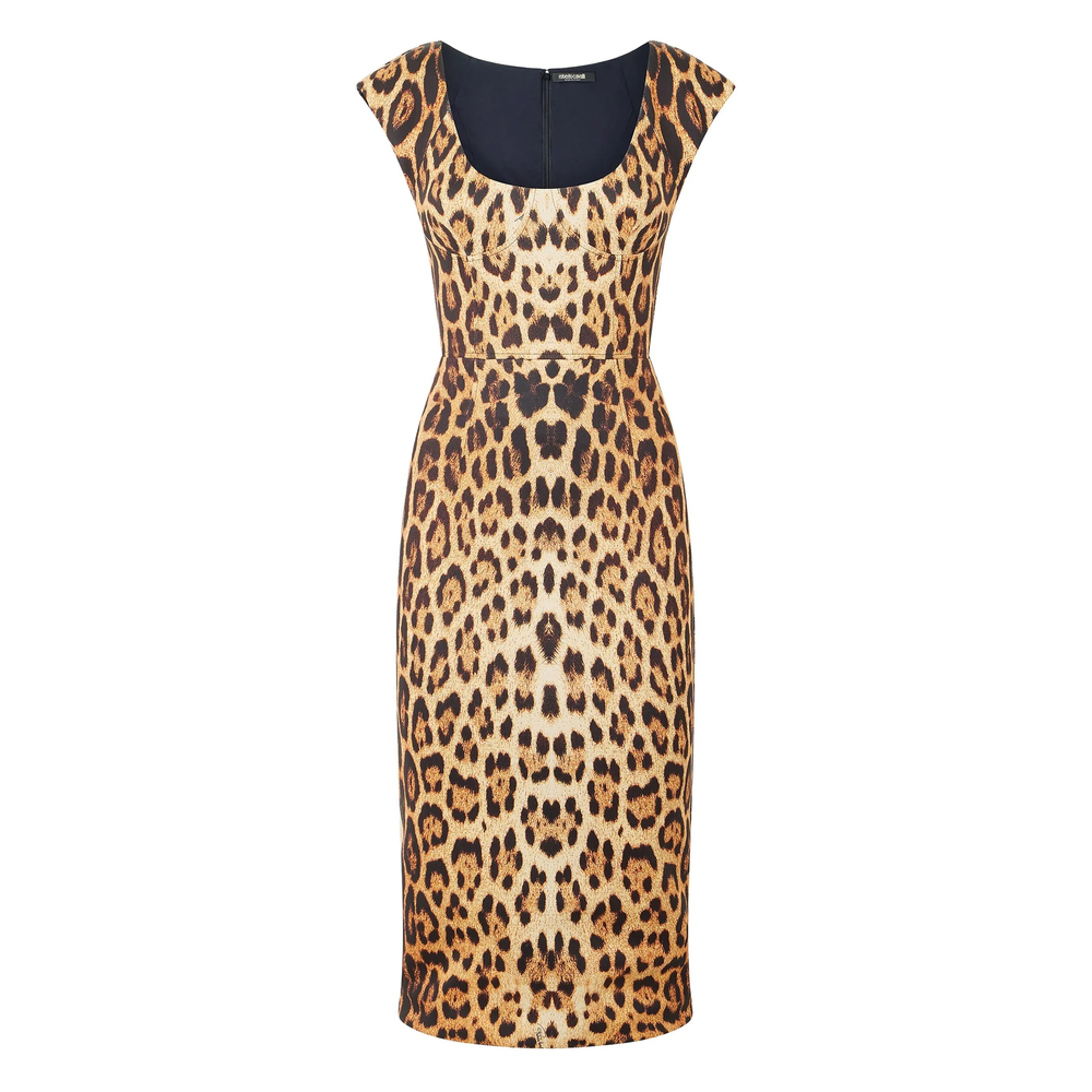 Dress Roberto Cavalli VKT112JMP7300504 (roberto cavalli / ワンピース・ドレス・オールインワン ) | roberto cavalli (ロベルト カヴァリ)