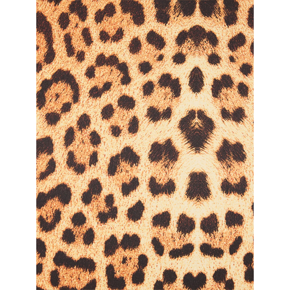 Dress Roberto Cavalli VKT112JMP7300504 (roberto cavalli / ワンピース・ドレス・オールインワン ) | roberto cavalli (ロベルト カヴァリ)(4)