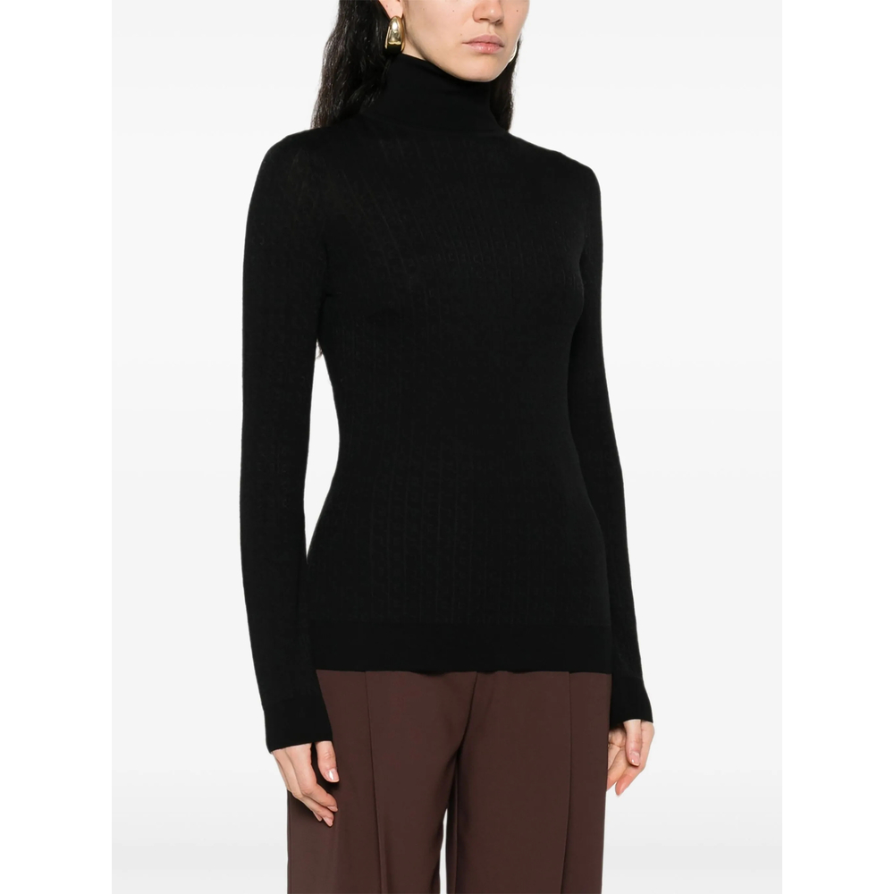 Sweater Elisabetta Franchi MK23S56E2110 (Elisabetta Franchi / Tシャツ・カットソー ) | Elisabetta Franchi (エリザベッタ フランキ)(4)