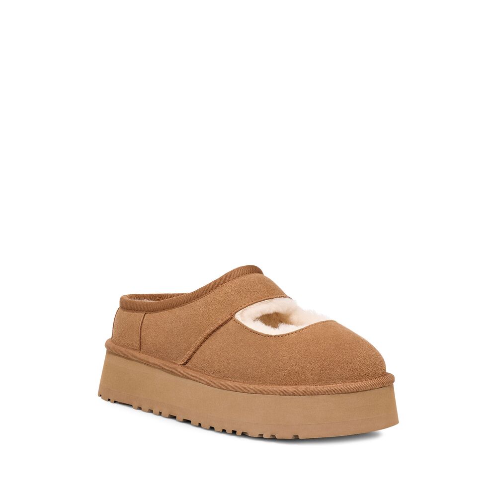 Shoes Ugg 1167612BEAMARYJCHE (UGG / サンダル ) | UGG (アグ)(2)