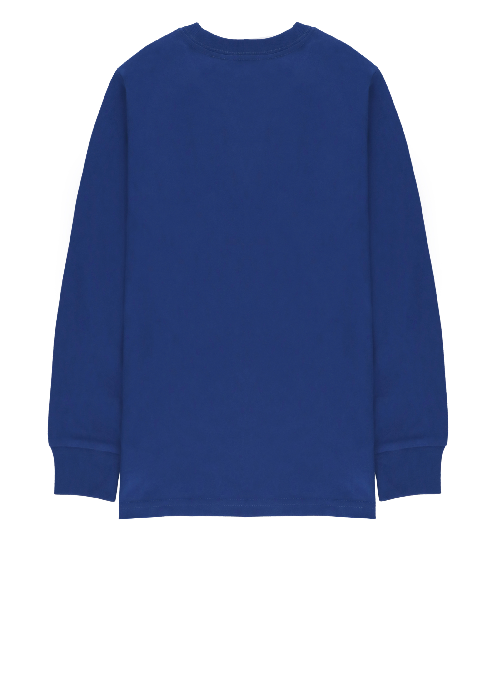 Ralph Lauren Sweaters Blue 854677098 (RALPH LAUREN / ニット・セーター・カーディガン ) | RALPH LAUREN (ラルフ ローレン)(1)