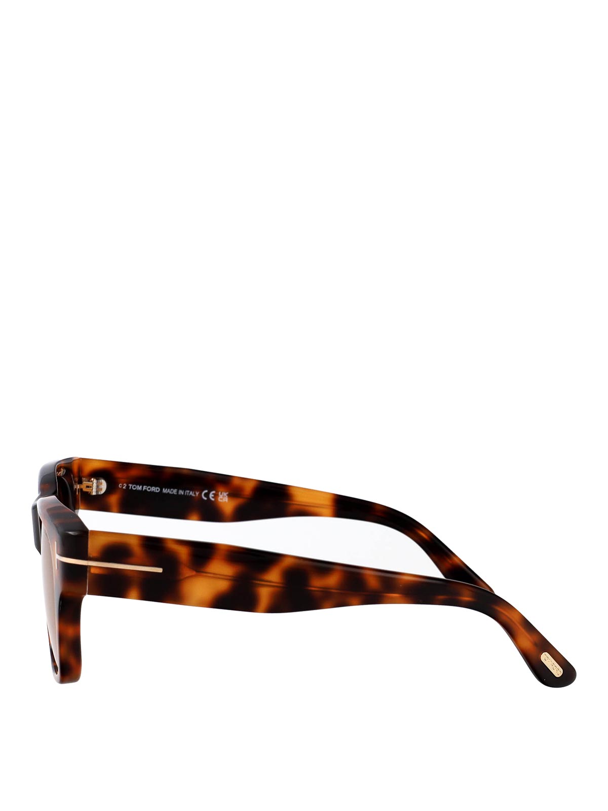 Caine-02 sunglasses FT128053E (TOM FORD / サングラス・アイウェア ) | TOM FORD (トムフォード)(2)
