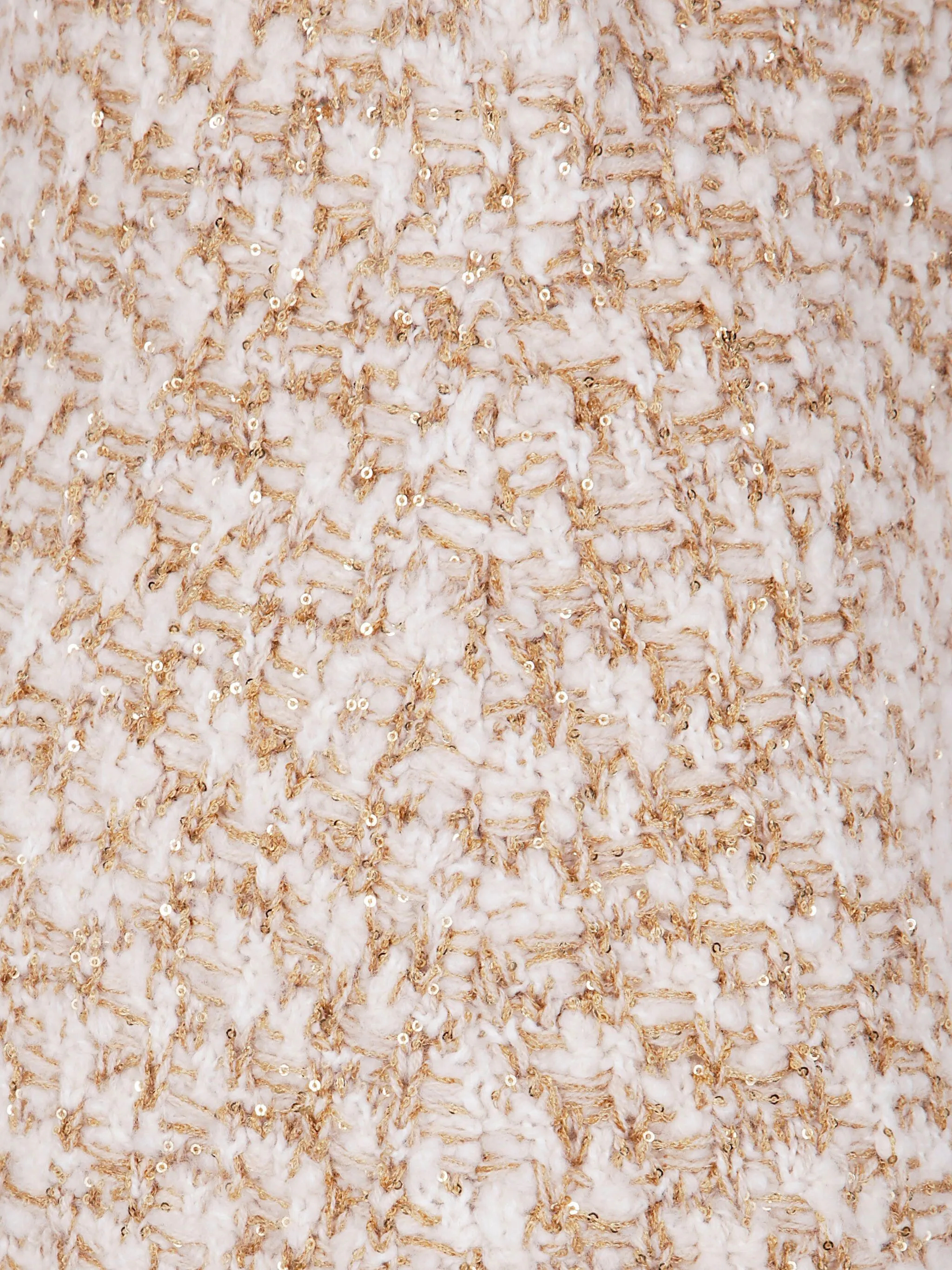 Fabiana Filippi Skirts GND225F404L629VR1 (FABIANA FILIPPI / スカート ) | FABIANA FILIPPI (ファビアナフィリッピ)(1)