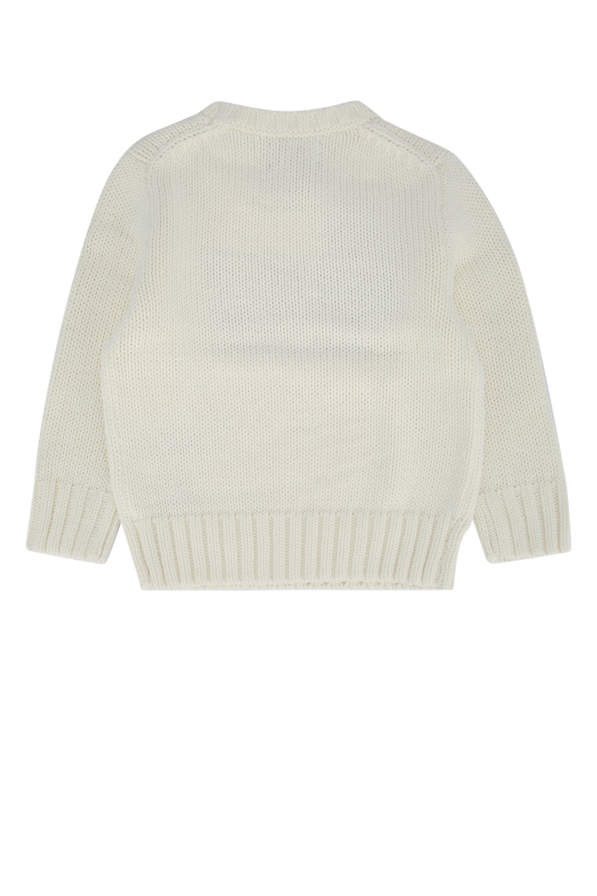 SWEATER 322668285006 (Polo Ralph Lauren / スウェット・フーディー ) | Polo Ralph Lauren (ポロ ラルフ ローレン)(1)
