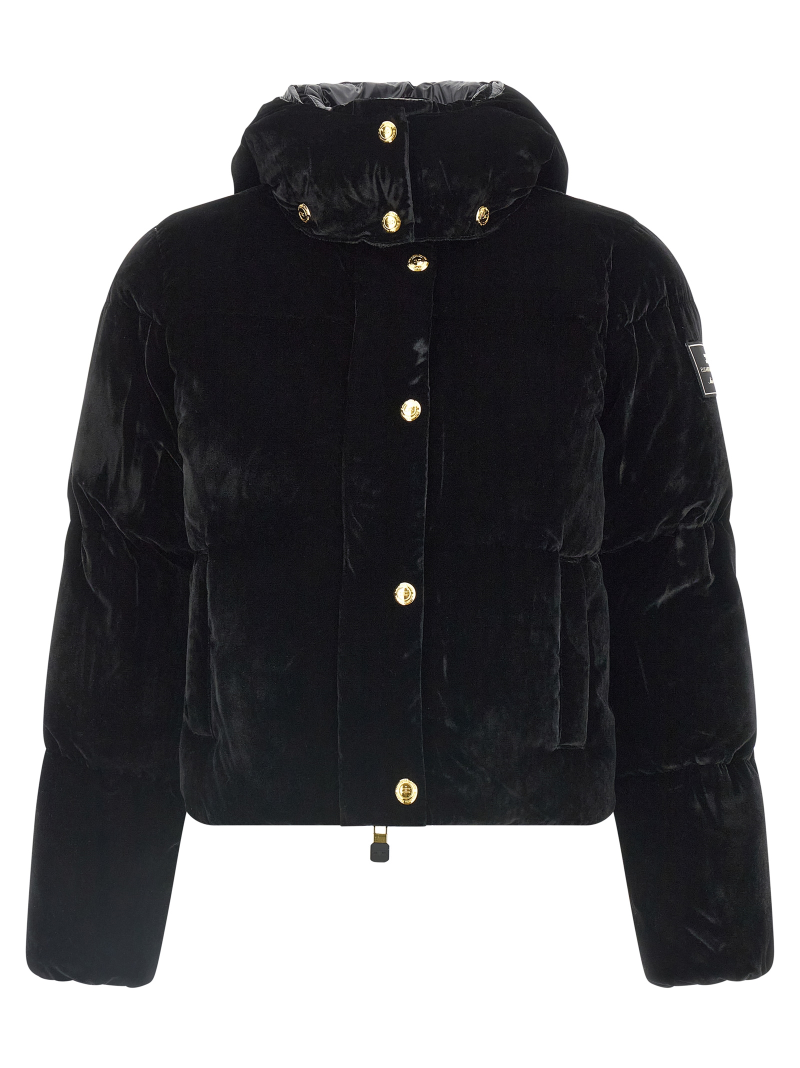 Velvet down jacket PI82D56E2110 (Elisabetta Franchi / ダウンジャケット・コート ) | Elisabetta Franchi (エリザベッタ フランキ)