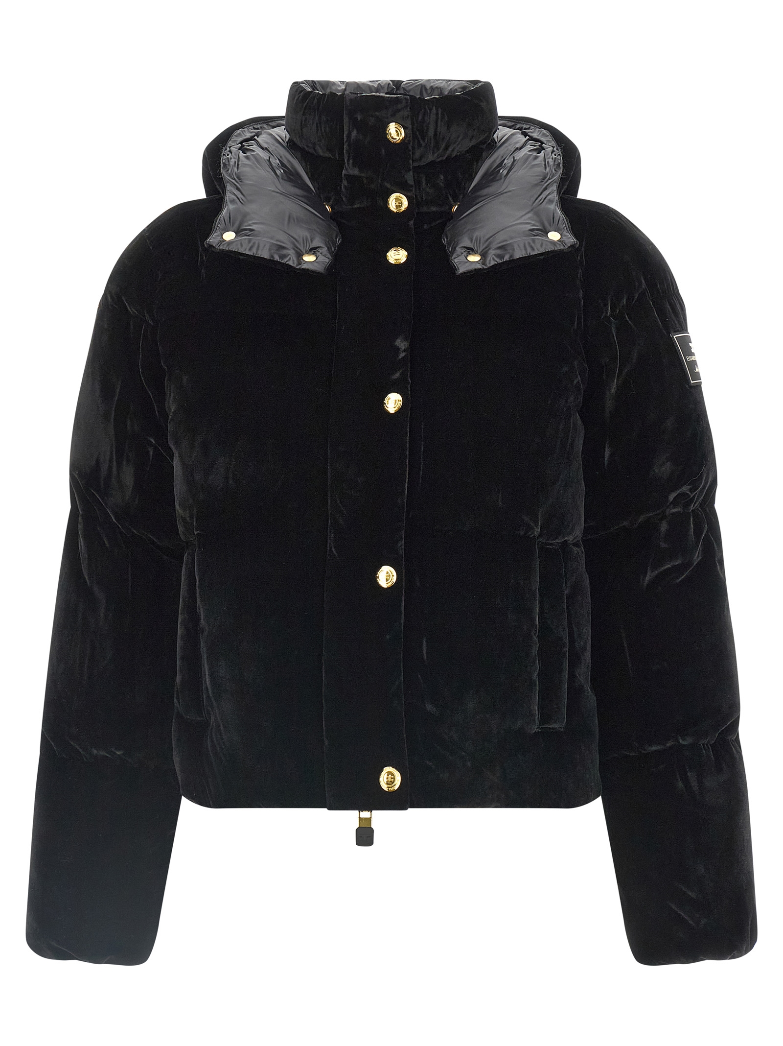 Velvet down jacket PI82D56E2110 (Elisabetta Franchi / ダウンジャケット・コート ) | Elisabetta Franchi (エリザベッタ フランキ)(1)