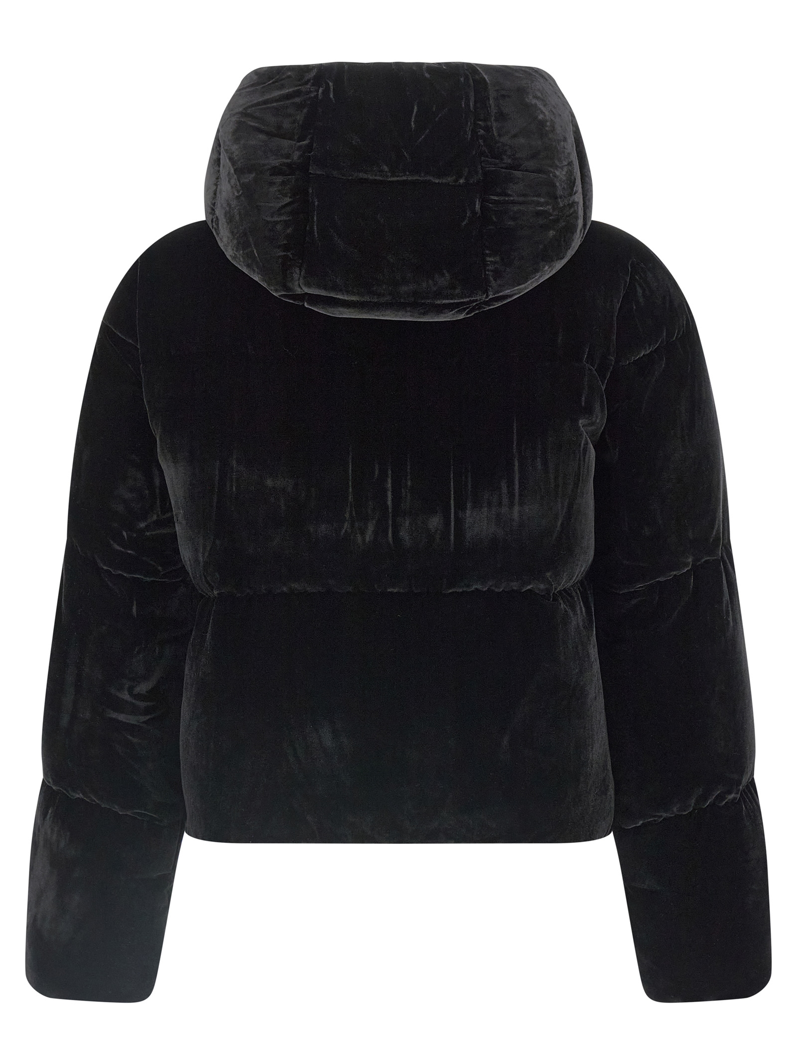 Velvet down jacket PI82D56E2110 (Elisabetta Franchi / ダウンジャケット・コート ) | Elisabetta Franchi (エリザベッタ フランキ)(2)