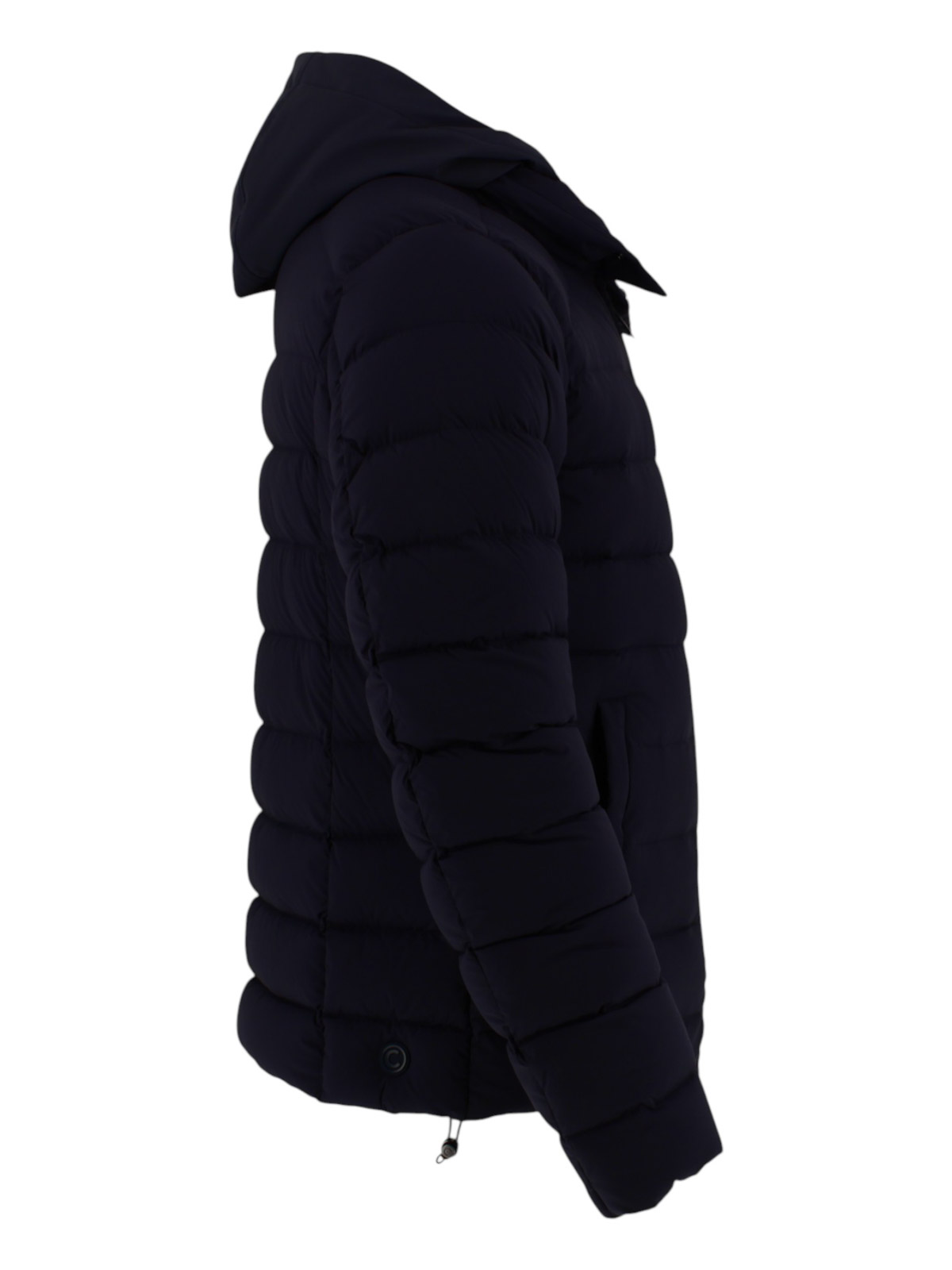 Padded coat 12652ZL68 (COLMAR / ダウンジャケット・コート ) | COLMAR (コルマー)(2)