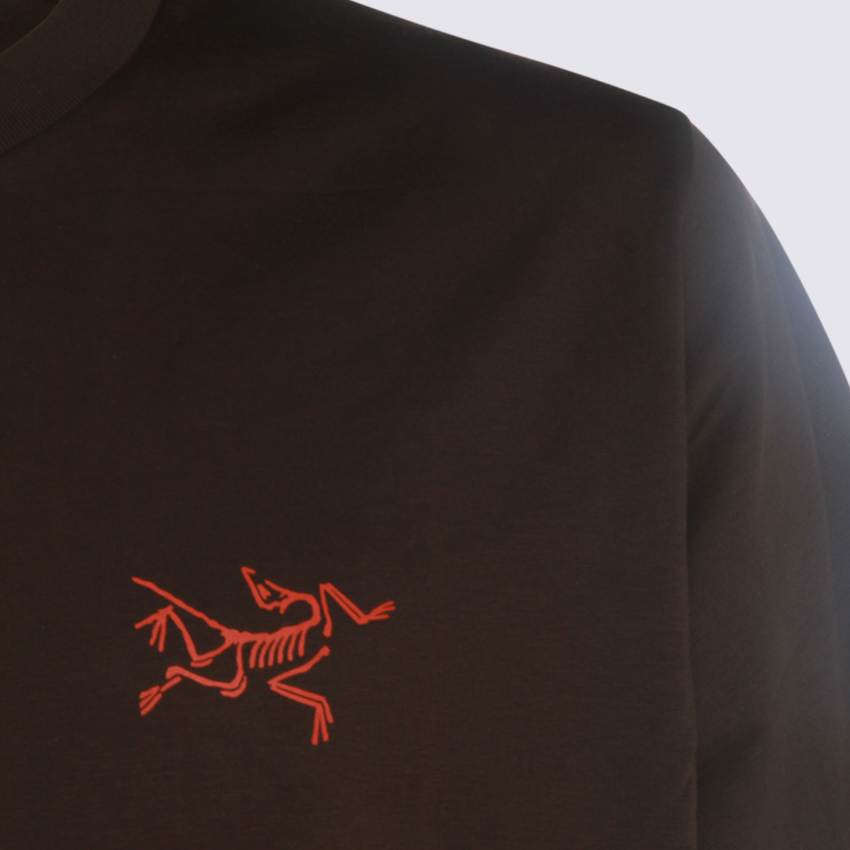 Arc*teryx T-shirts and Polos X000009533CAROBDYNASTY (ARC'TERYX / Tシャツ・カットソー ) | ARC'TERYX (アークテリクス)(2)